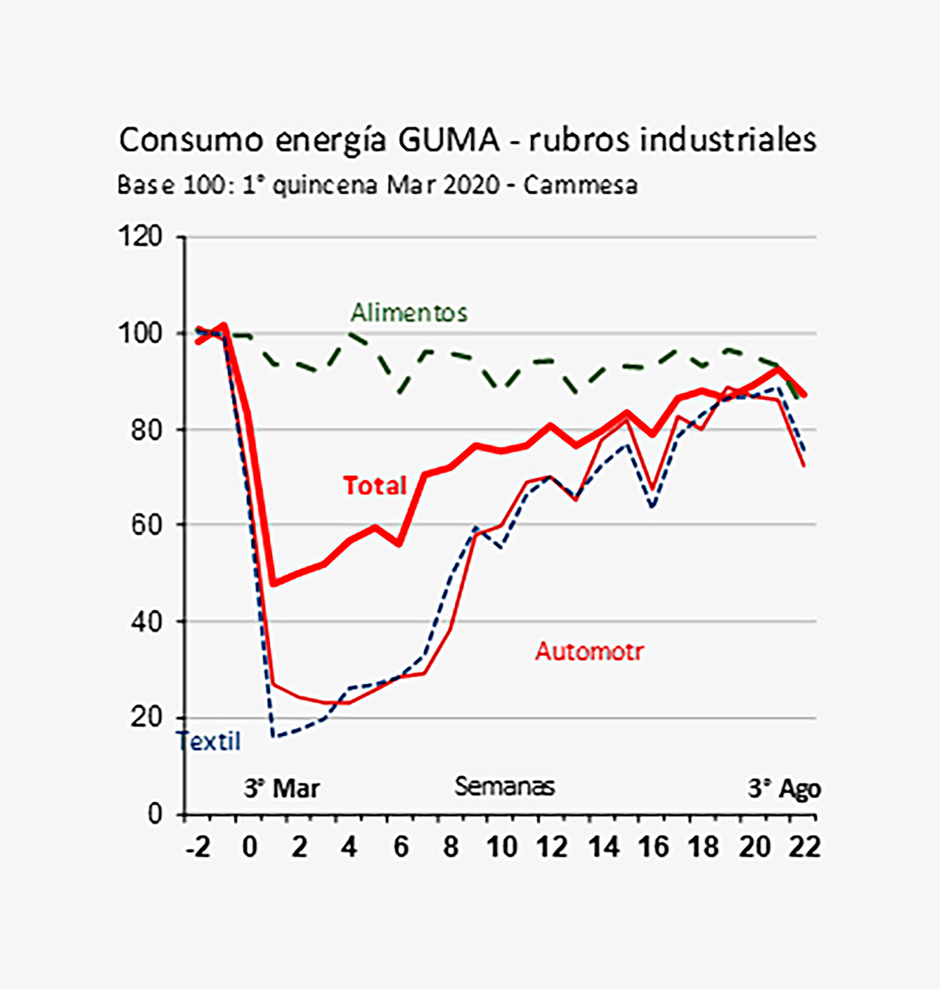 Consumo de energía de grandes usuarios, por rubros industriales. En agosto vuelve a observarse una caída (Ieral de Fundación Mediterránea)