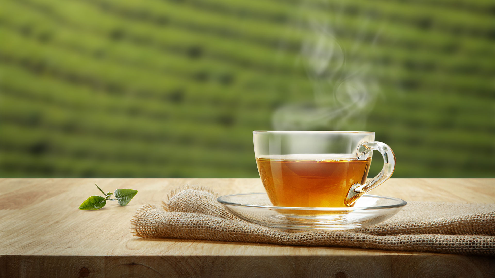 La mayoría de las plantas medicinales se beben en té o infusión (Shutterstock)
