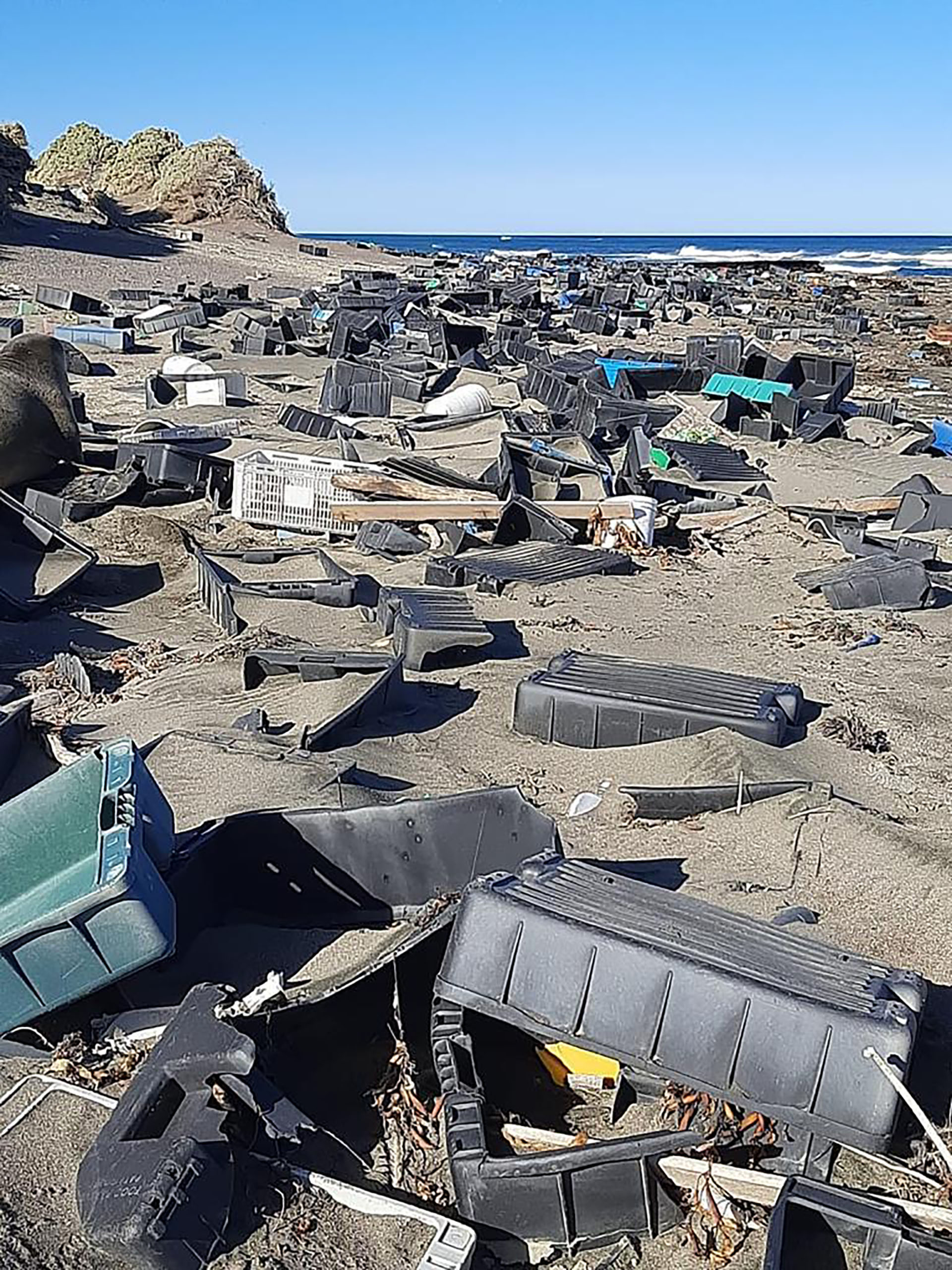 Argentina, junto a otros 150 países, forma parte del convenio MARPOL que prohíbe a los barcos descargar basura en el mar. Las regulaciones aplican a los buques pesqueros argentinos y extranjeros dentro de las 200 millas náuticas