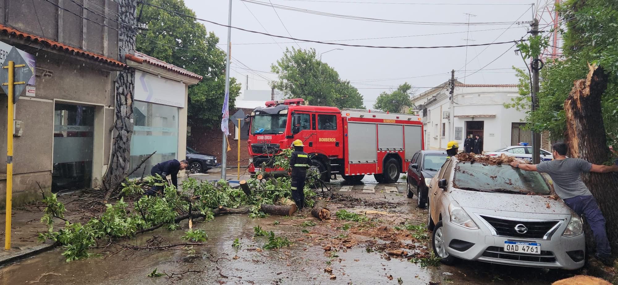 Ortografía y redacción: espóiler, adaptación de spoiler