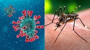 En Salta notificaron 2 casos de pacientes con dengue y el nuevo coronavirus que cursan ambas patologías a la vez