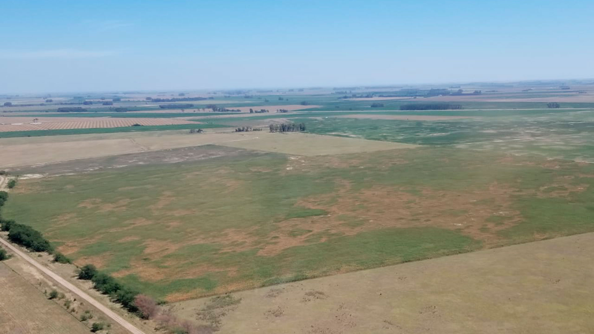 Vista aérea de hectáreas afectadas por la sequía en la provincia de Buenos Aires. 