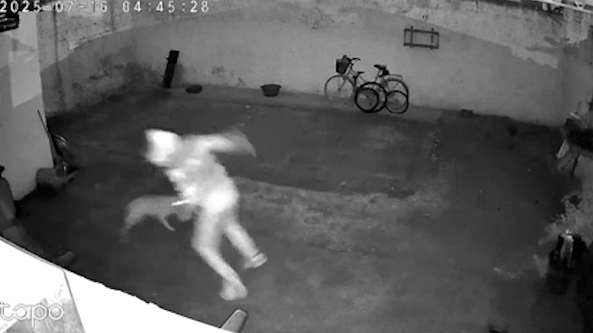 Fentanilo mortal: la pista narco de los laboratorios del clan García Furfaro y el “desvío” de 5 kilos de droga