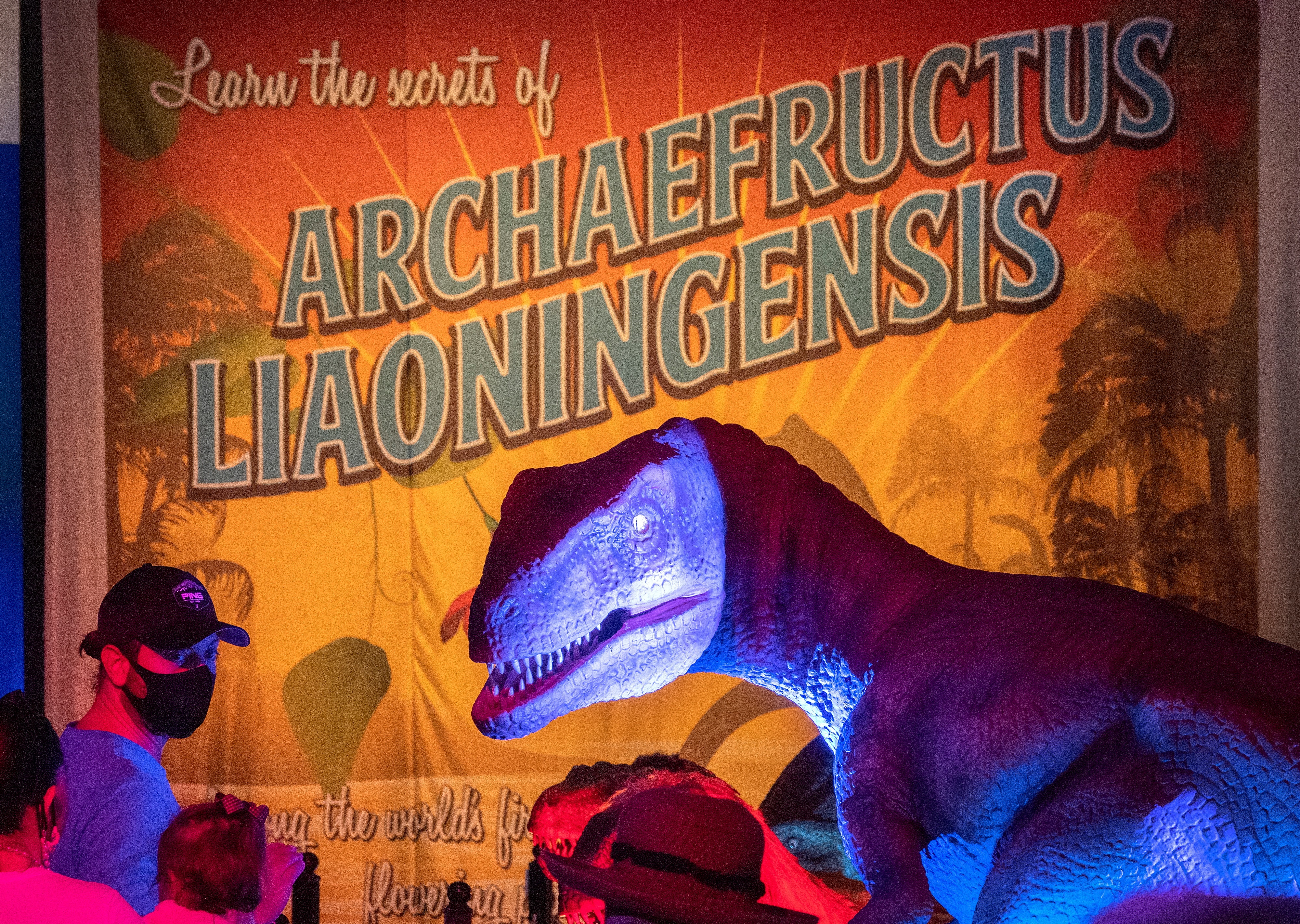 Dinosaurios de tamaño real se exhiben en una experiencia inmersiva en  . - Infobae