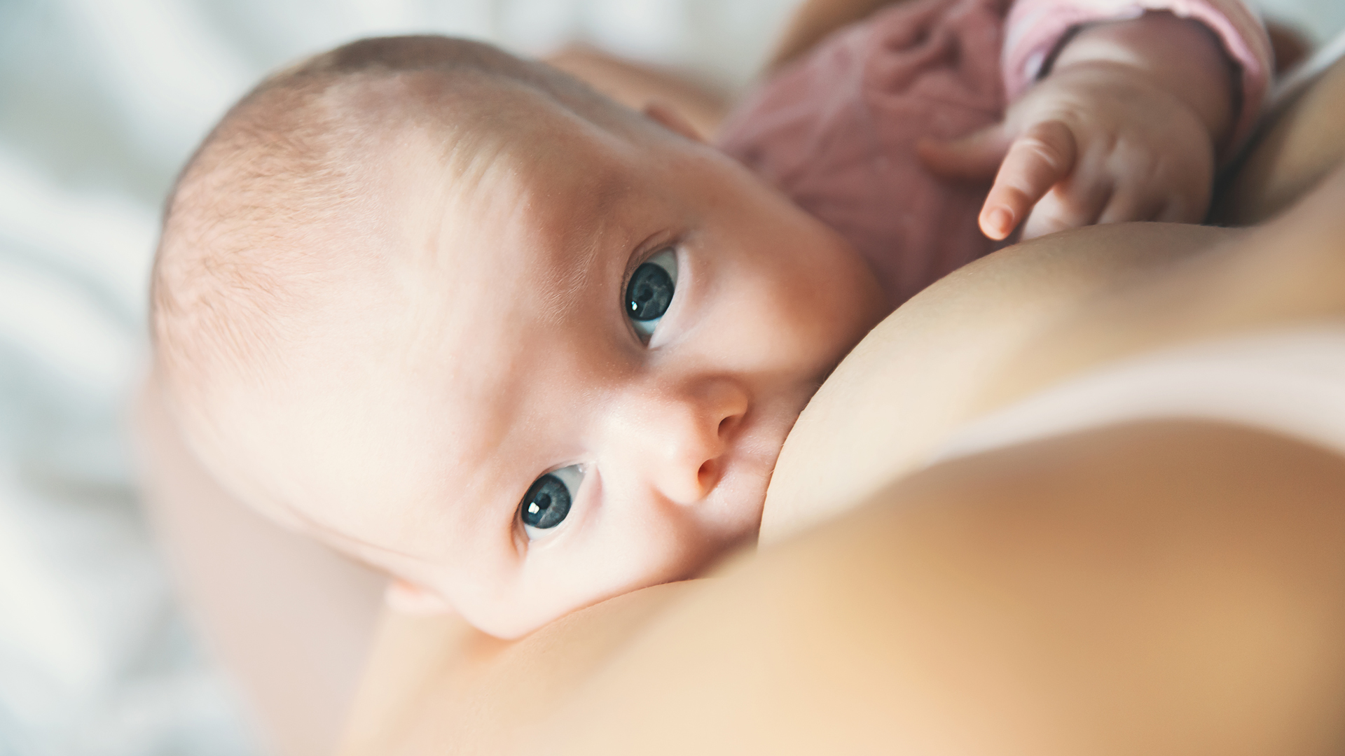 Lactancia materna en la pospandemia: respuestas a las dudas más frecuentes  - Infobae