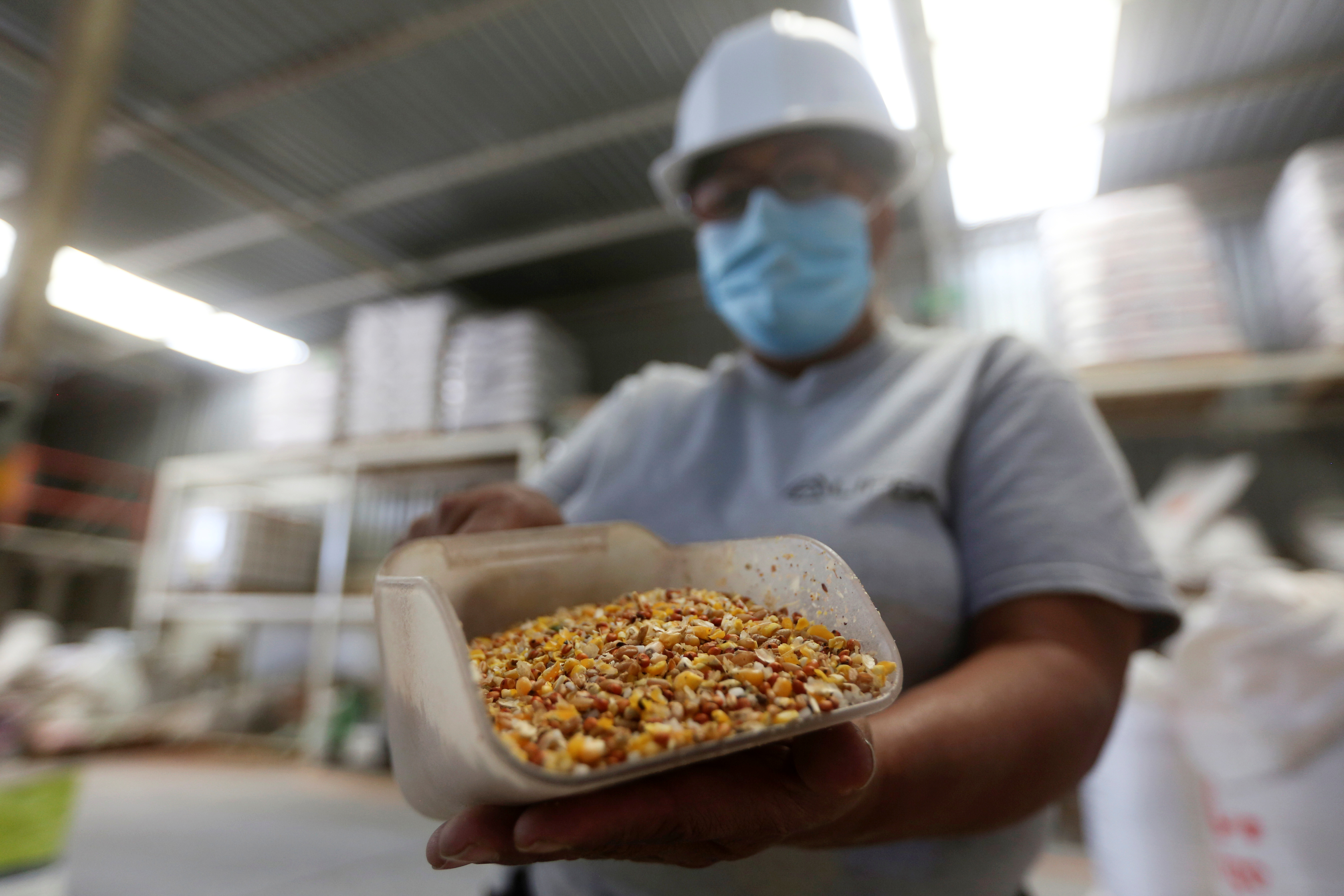 La balanza comercial agroalimentaria del país alcanzó de enero a julio del 2021 un superávit de USD 4,959 millones (REUTERS/Fernando Carranza)