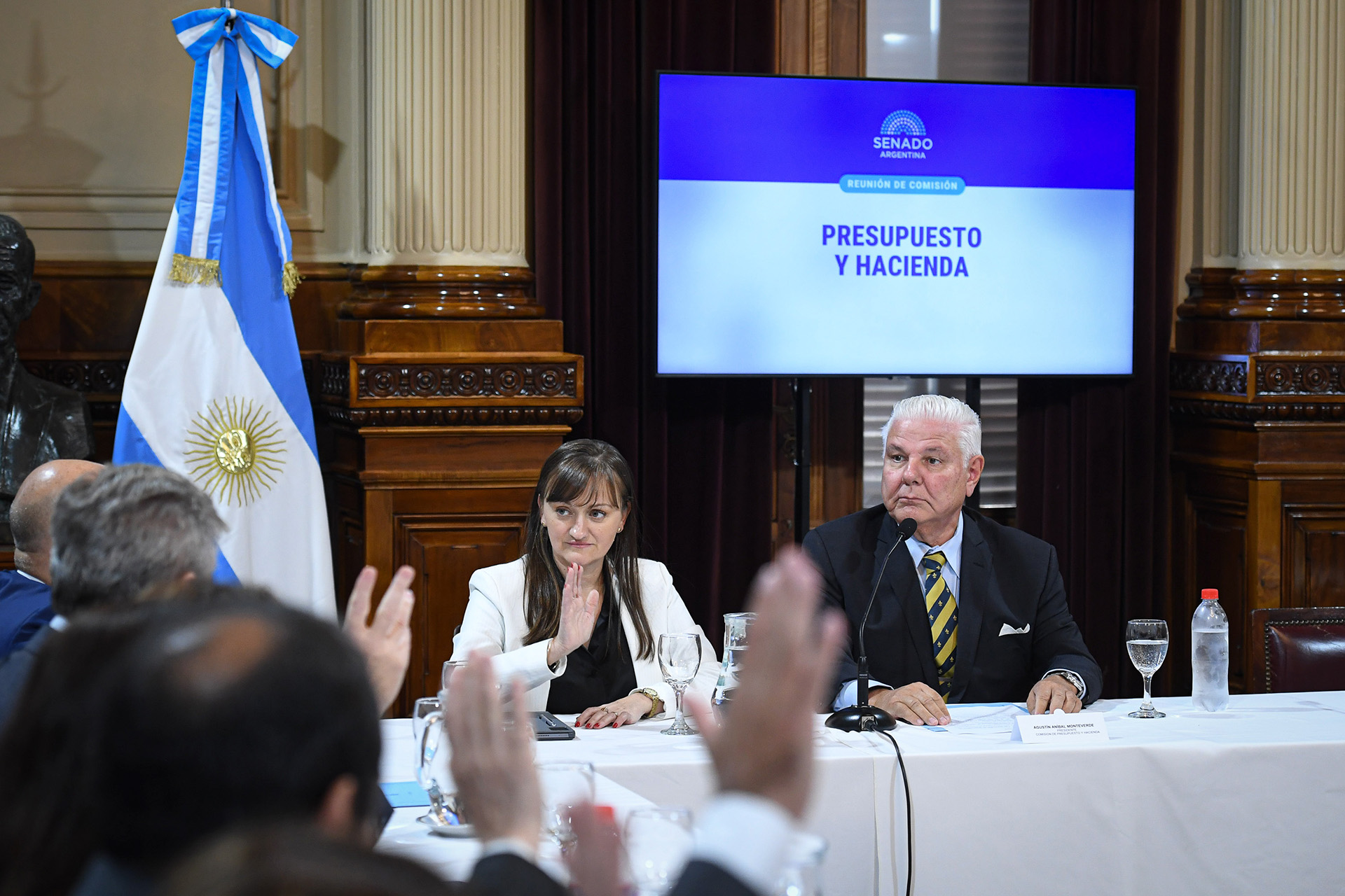 Fondos buitre: el Senado dictamin&oacute; la validaci&oacute;n de un acuerdo por USD 171 millones