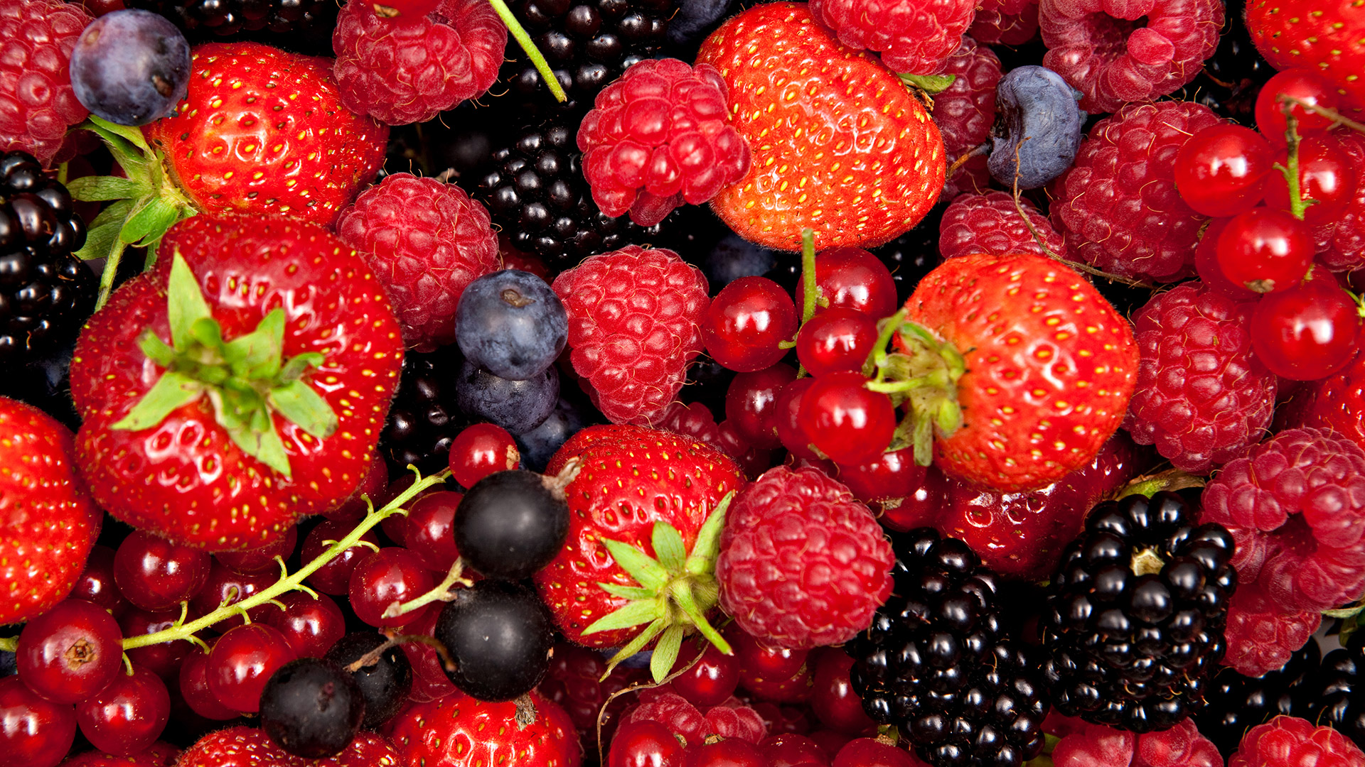 Los antioxidantes de las frutas y verduras ayudan a combatir el envejecimiento prematuro de la piel (Getty)