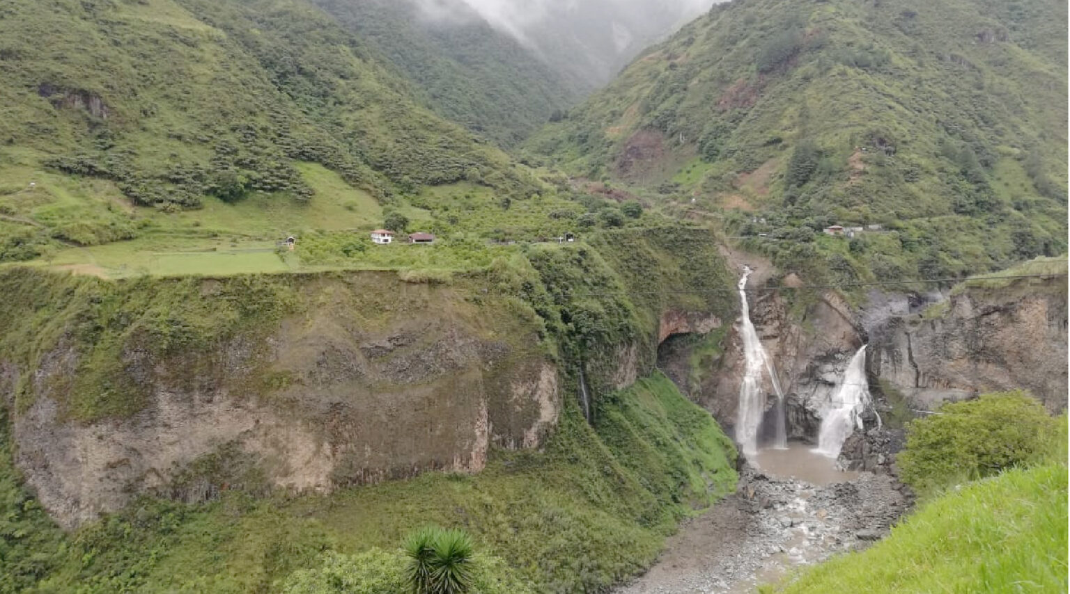 Ecuador Tiene Un Nuevo Bosque Protegido Infobae