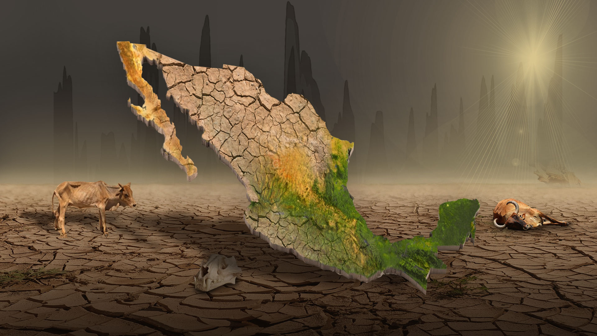 La Conagua pronostica casi un 20% menos precipitaciones en México en los próximos meses (Foto: Infobae)
