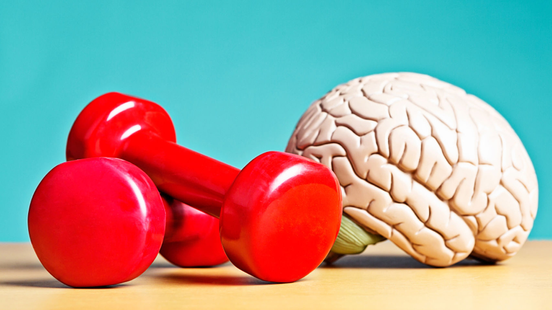 Los 5 beneficios para el cerebro del ejercicio físico 