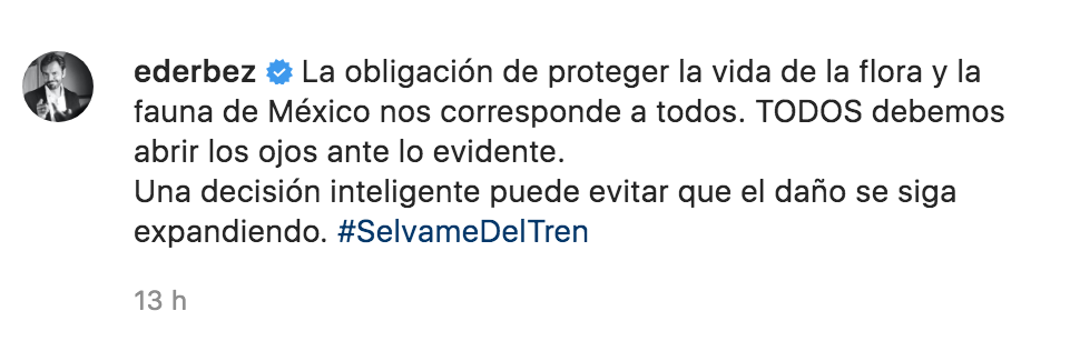 El actor volvió a compartir un video en contra de la construcción del Tren Maya (Foto: Instagram)