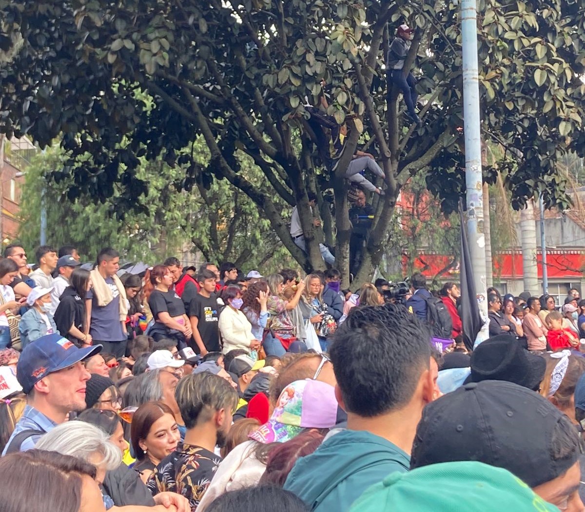 Los asistentes se subieron a los árboles para no perder la posesión de Gustavo Petro. (Foto: Daniel Remolina / Infobae)