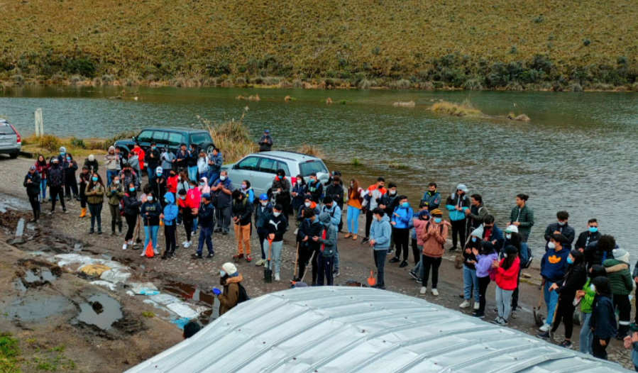 Sembrarán Un Millón De árboles En Los Andes Ecuatorianos Para