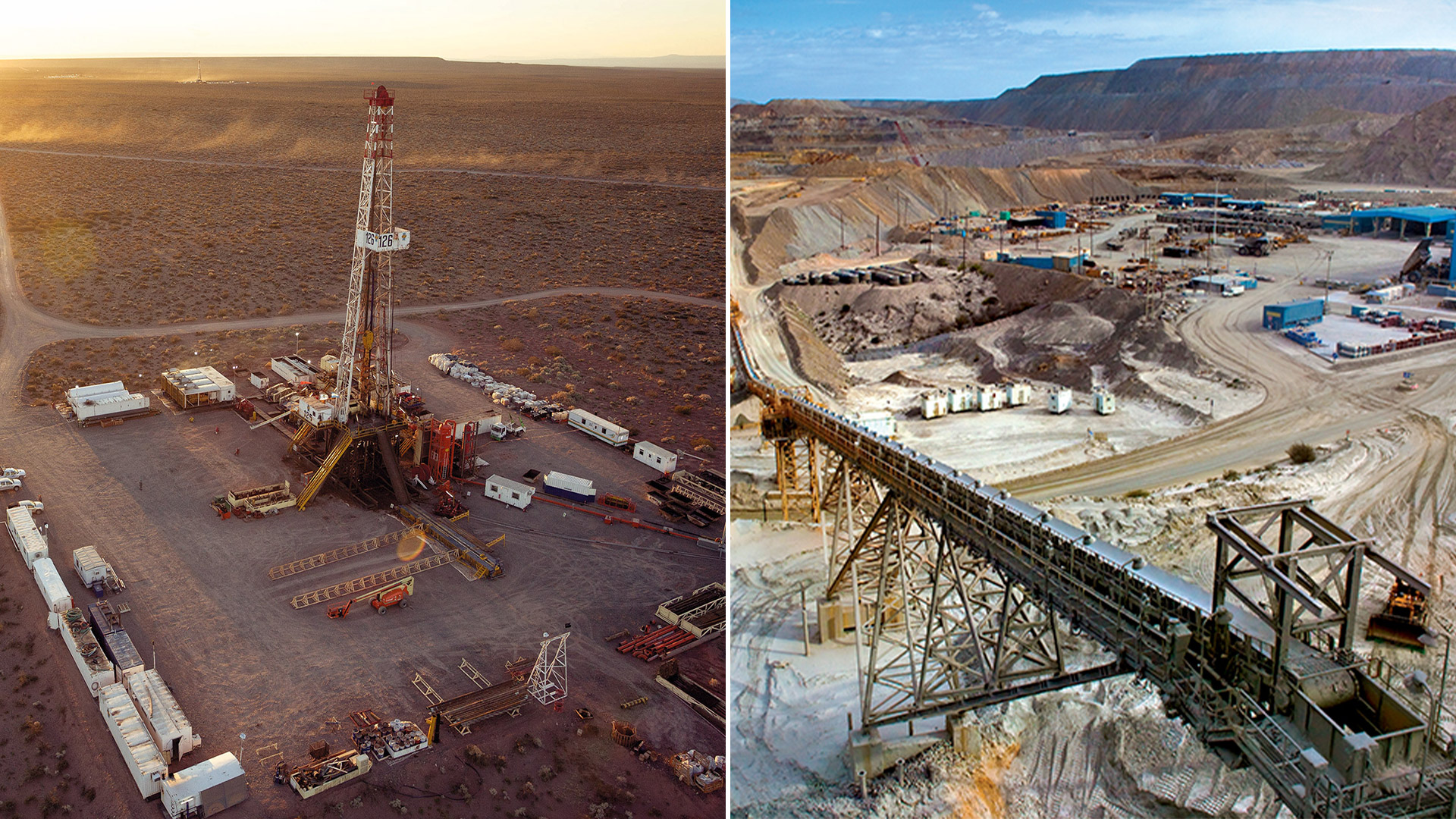 Plantar robles y otros árboles nativos aumenta la supervivencia de aves urbanas