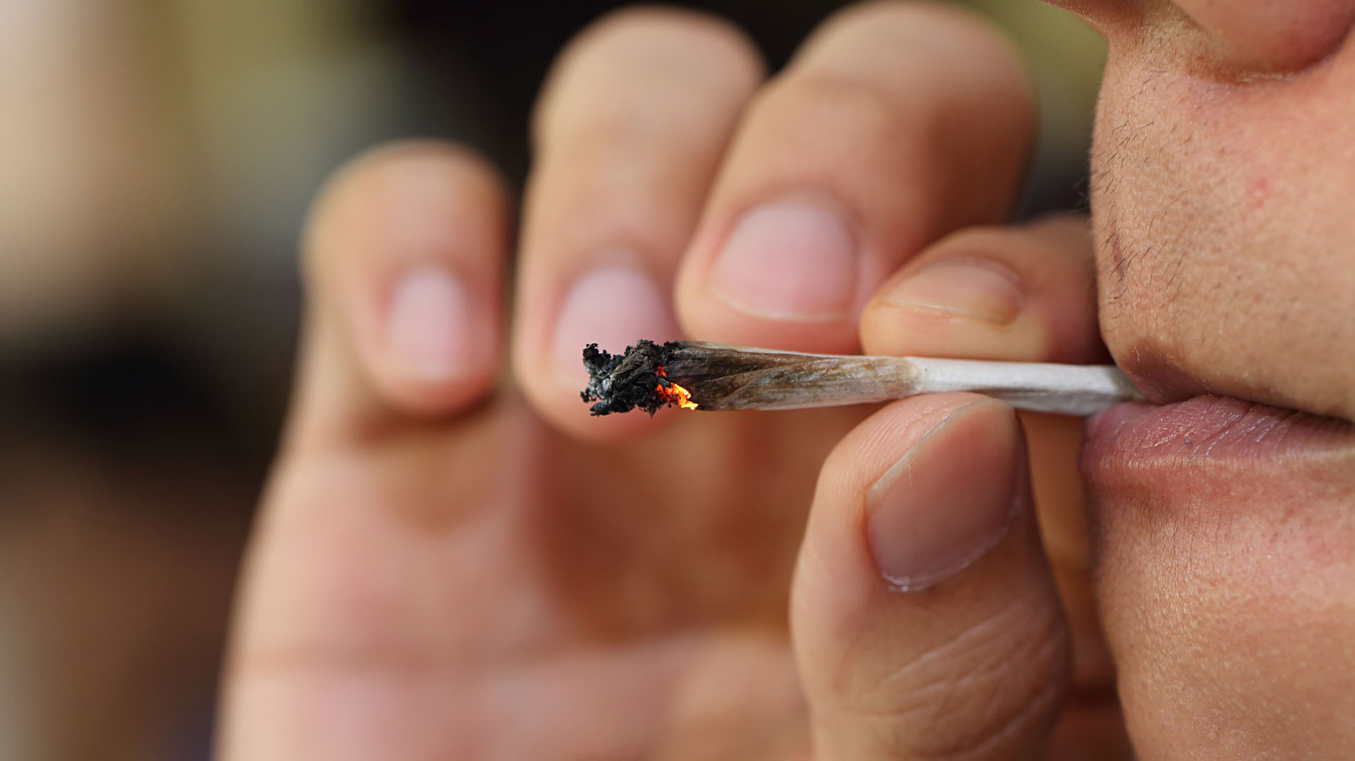Consumir marihuana en la adolescencia y juventud provoca un daño cerebral irrecuperable, según varios estudios
