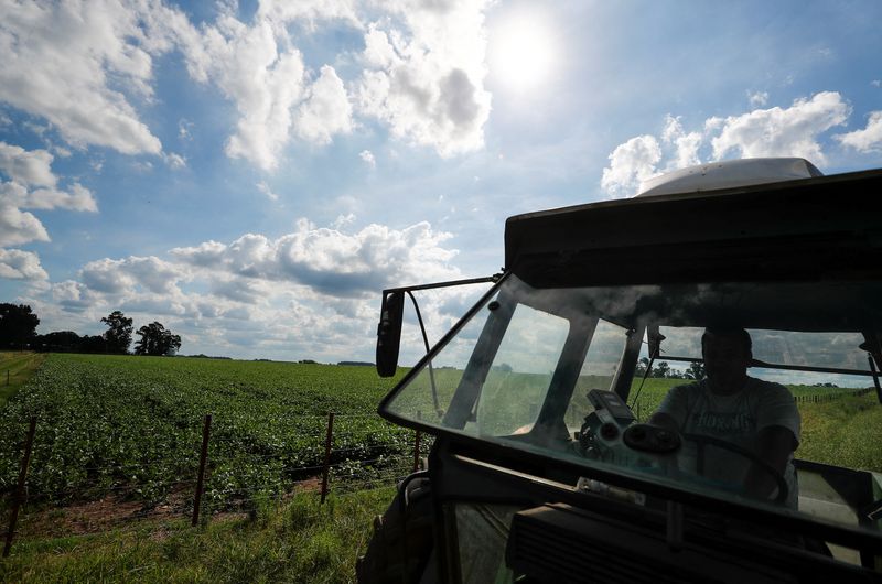 Qu&eacute; cambia con el proyecto que modifica la ley de tierras rurales: provincias, extranjeros, expropiaciones y desalojos