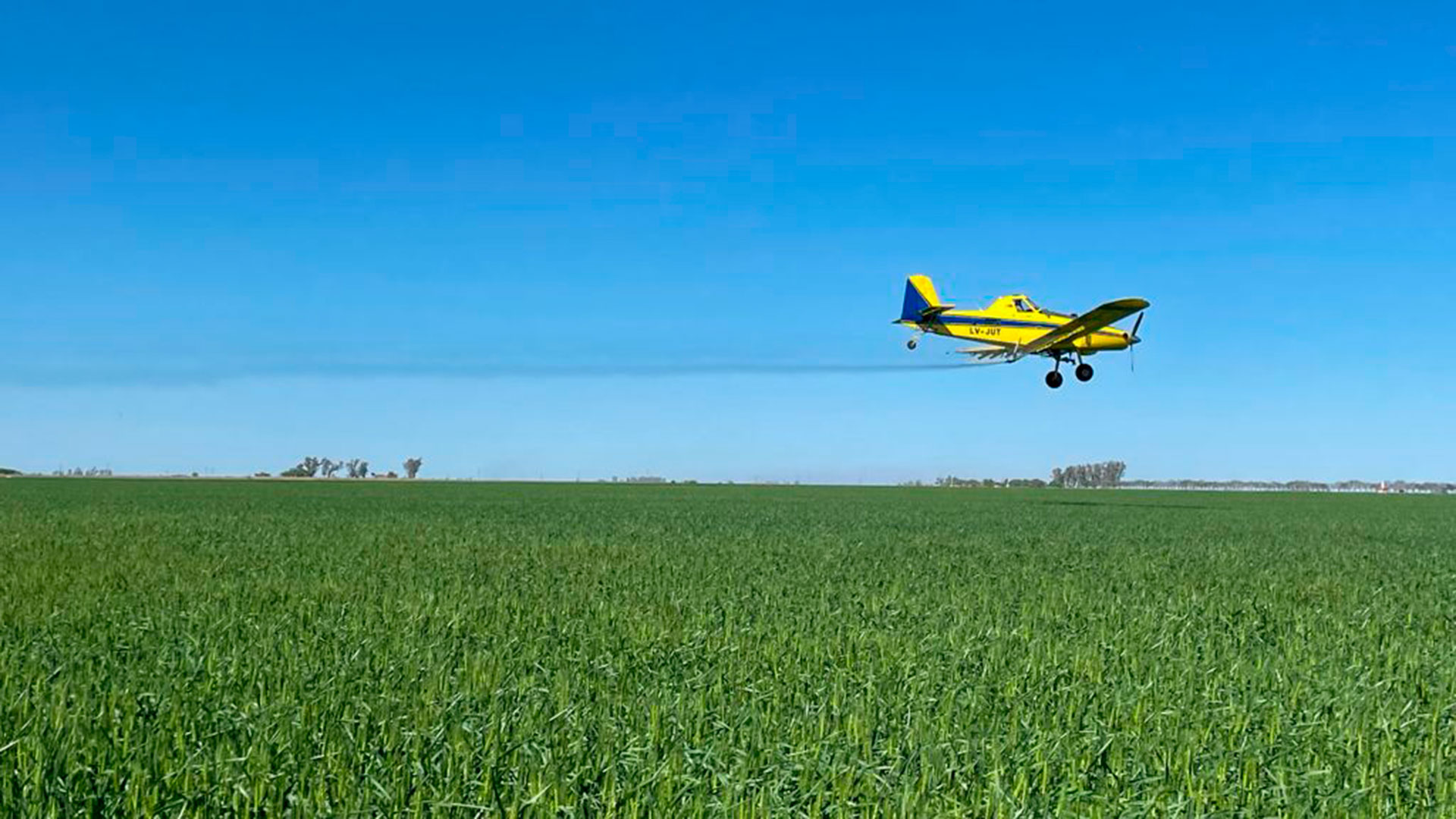 Sequía: cayó más de un 70% la actividad de las empresas de aviación agrícola 