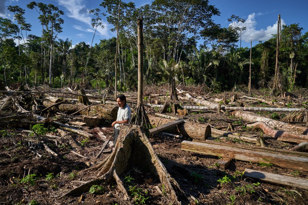 Más del 70 % de los jóvenes desconocen las problemáticas de la Amazonía