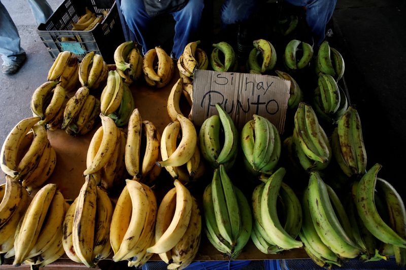 FOTO DE ARCHIVO. Un puesto de venta ambulante de bananas en Caracas (REUTERS/Carlos García Rawlins)
