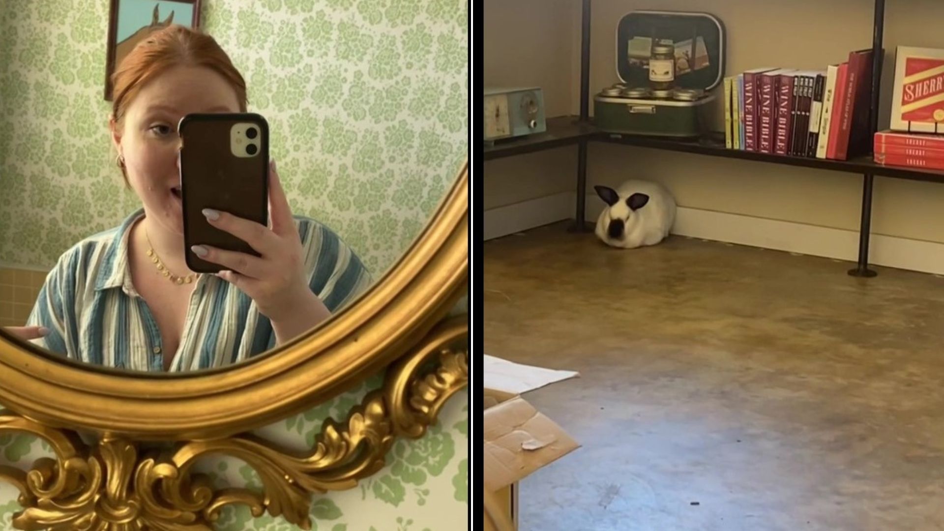 Se encontró con un conejito en el baño de un bar y el video se volvió viral. (ViralHog)