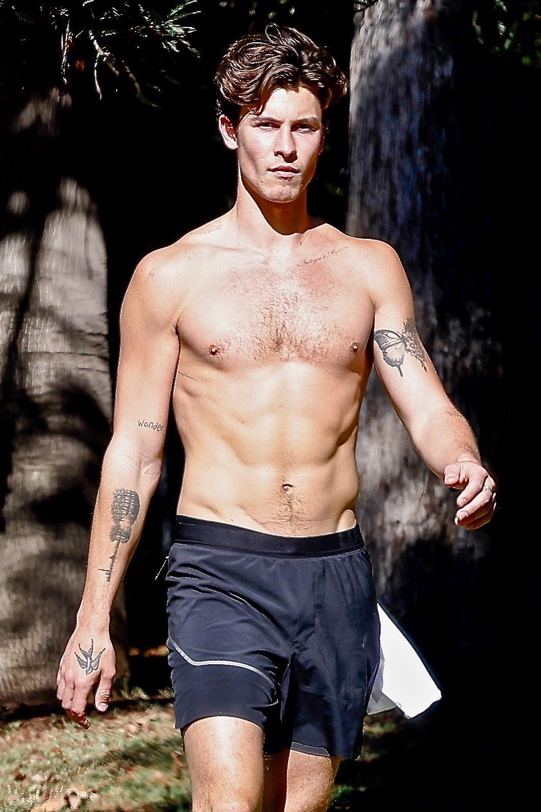 Shawn Mendes es fanático de la vida deportiva. El cantante de "Wonder" fue capturado por los fotógrafos durante una caminata en Los Ángeles