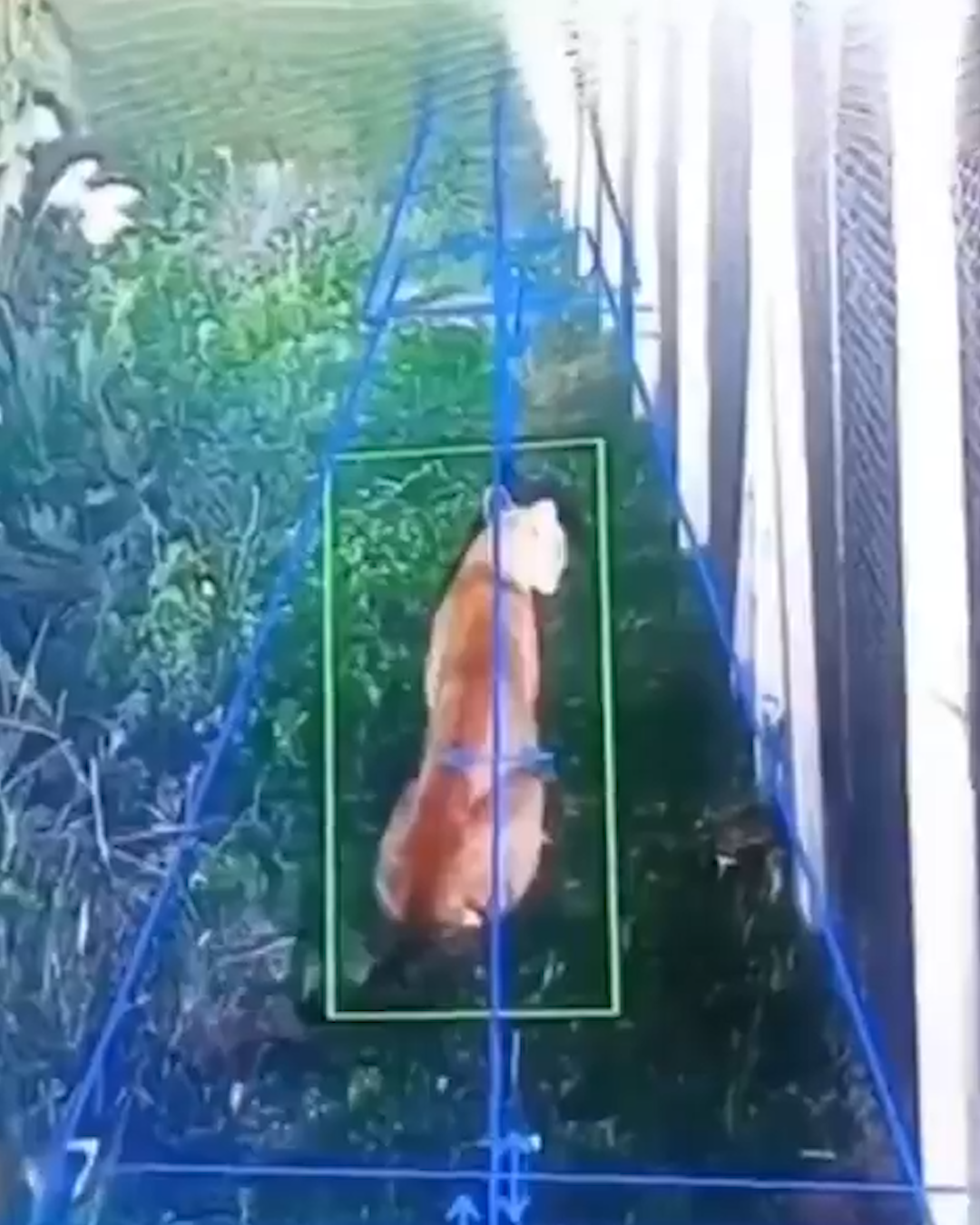 Caputo habló de la suba del riesgo país pese a las compras de reservas: “Es más difícil de lo que se cree”