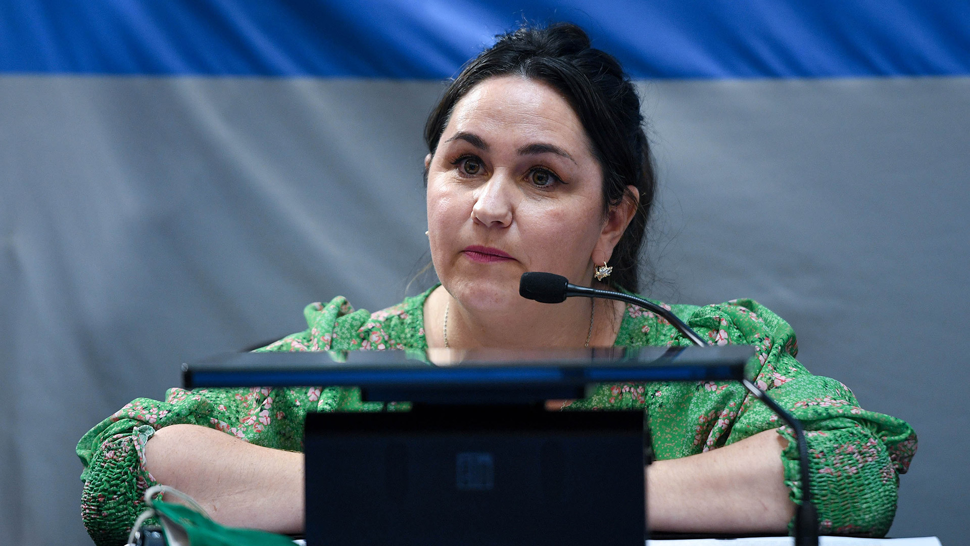 “Corrientes se declaró provincia pro vida en 2011, por un decreto del Ejecutivo provincial, sin consultar a nadie", advirtió Ana Almirón (prensa Senado)