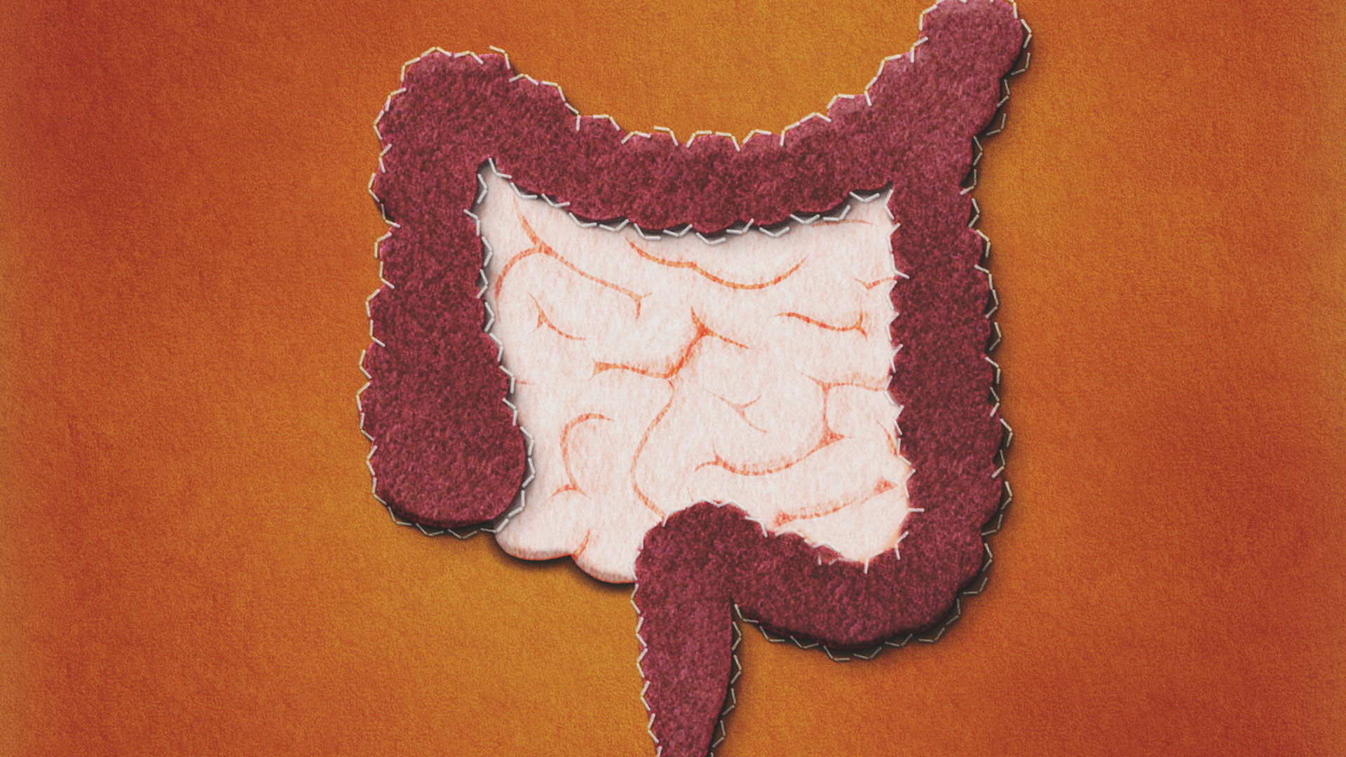 Las infecciones del tracto urinario, más comúnmente conocidas como ITU, pueden recibir distintos nombres en función de la parte del tracto urinario infectada: la cistitis afecta a la vejiga, la pielonefritis a los riñones y la uretritis al uréter y la uretra (Getty Images)
