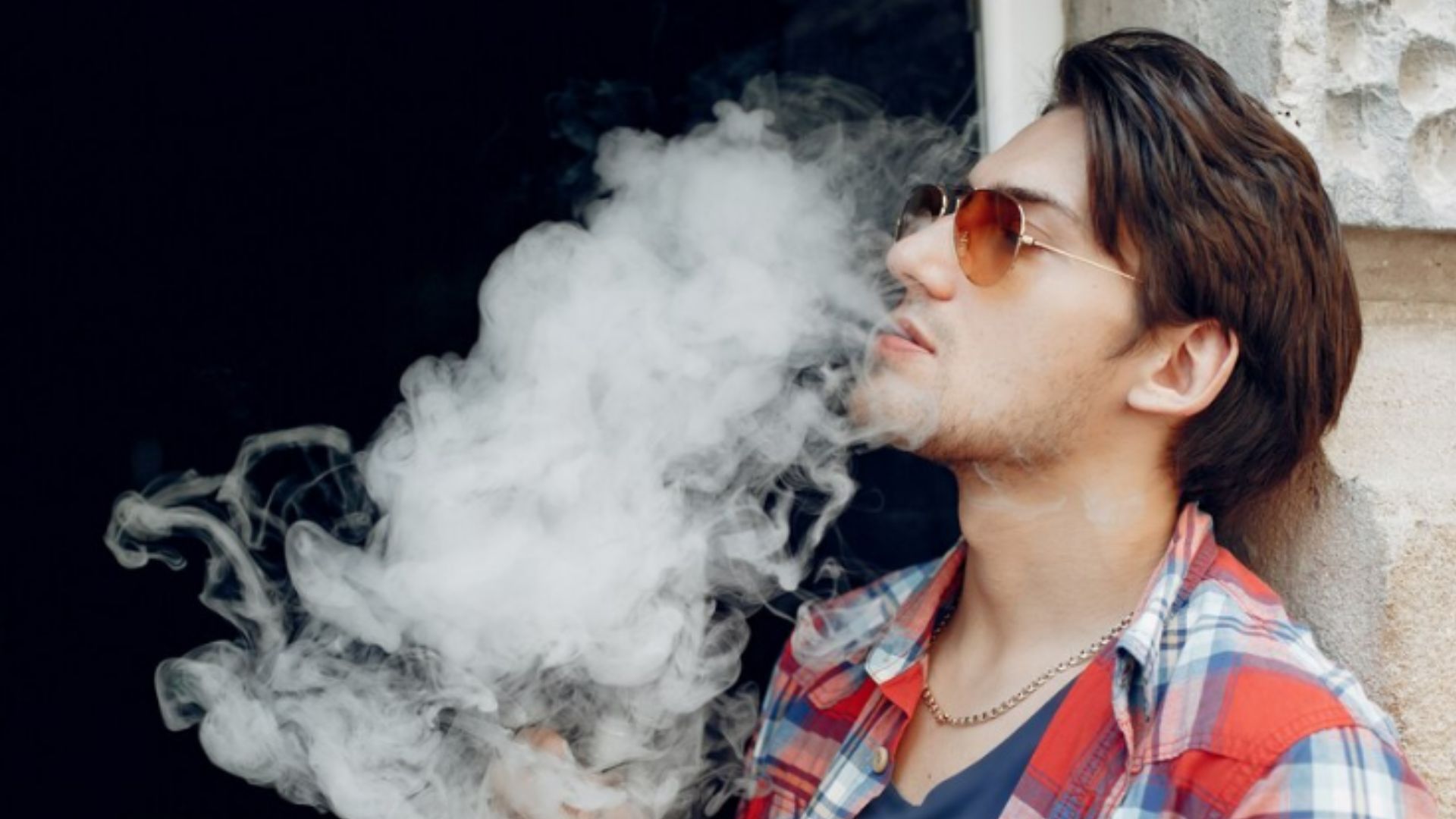 Científicos resolvieron un enigma clave sobre los dinosaurios depredadores tras el hallazgo de un fósil