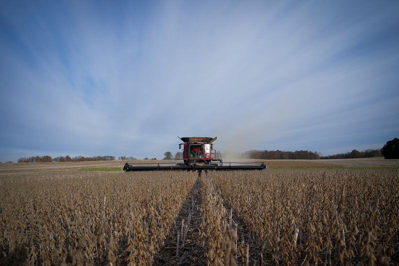 Los productores advierten que la intervención en la exportación de granos afecta la inversión del sector. (REUTERS/Bryan Woolston/Archivo)