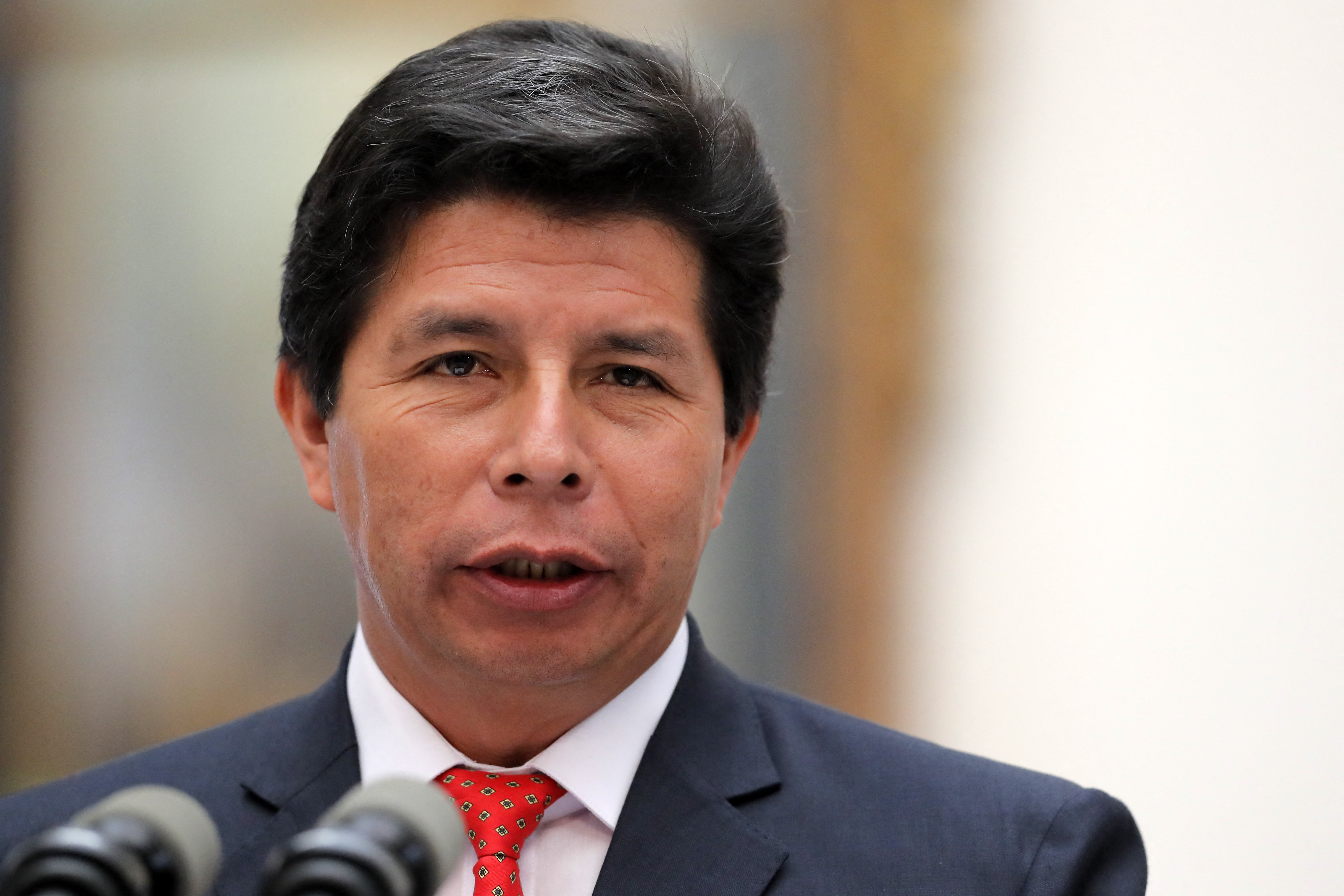 Marcelo Ebrard confirmó que México concedió asilo a la familia de Pedro Castillo