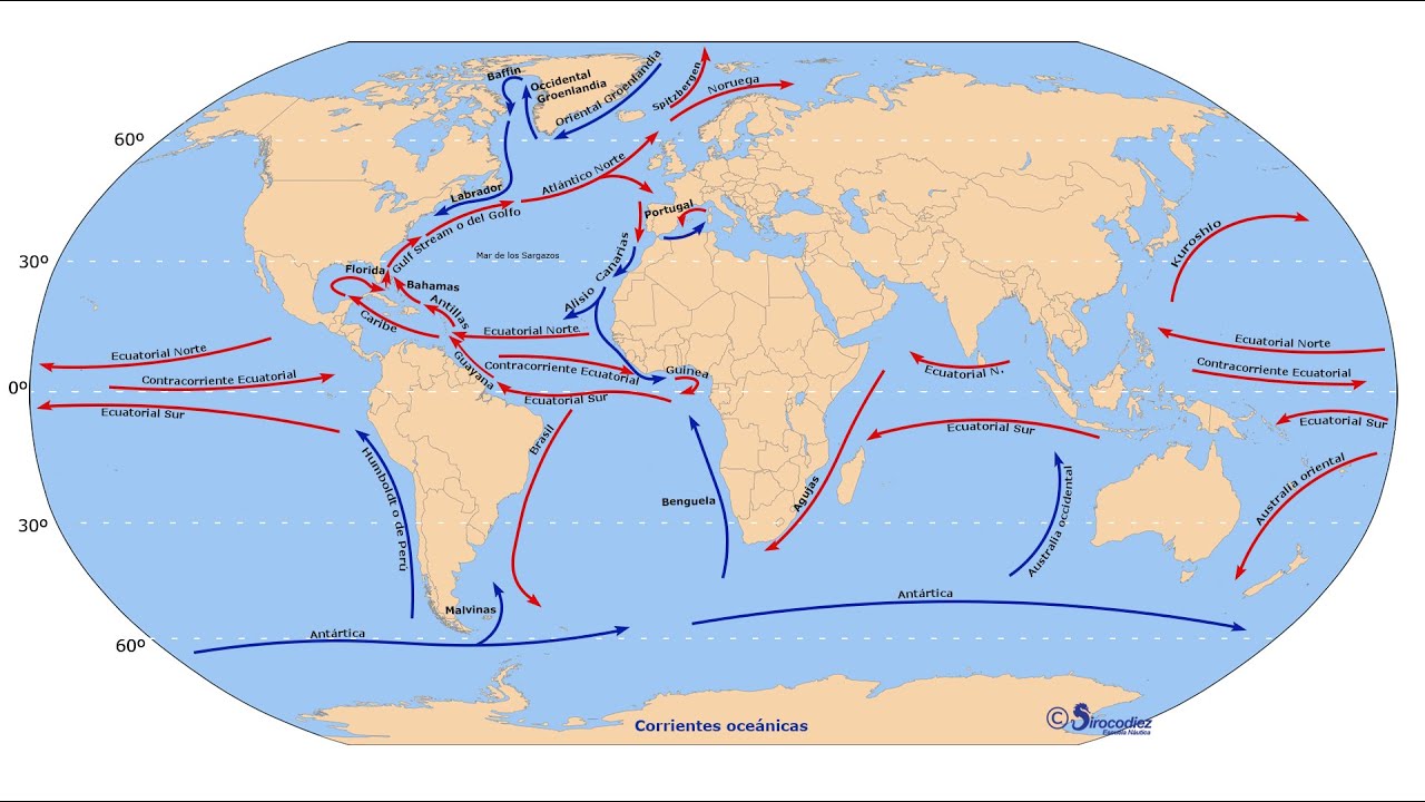 Las corrientes marinas fueron estudiadas en profundidad por un equipo de científicos de Argentina, más precisamente del Instituto Balseiro y de los Estados Unidos