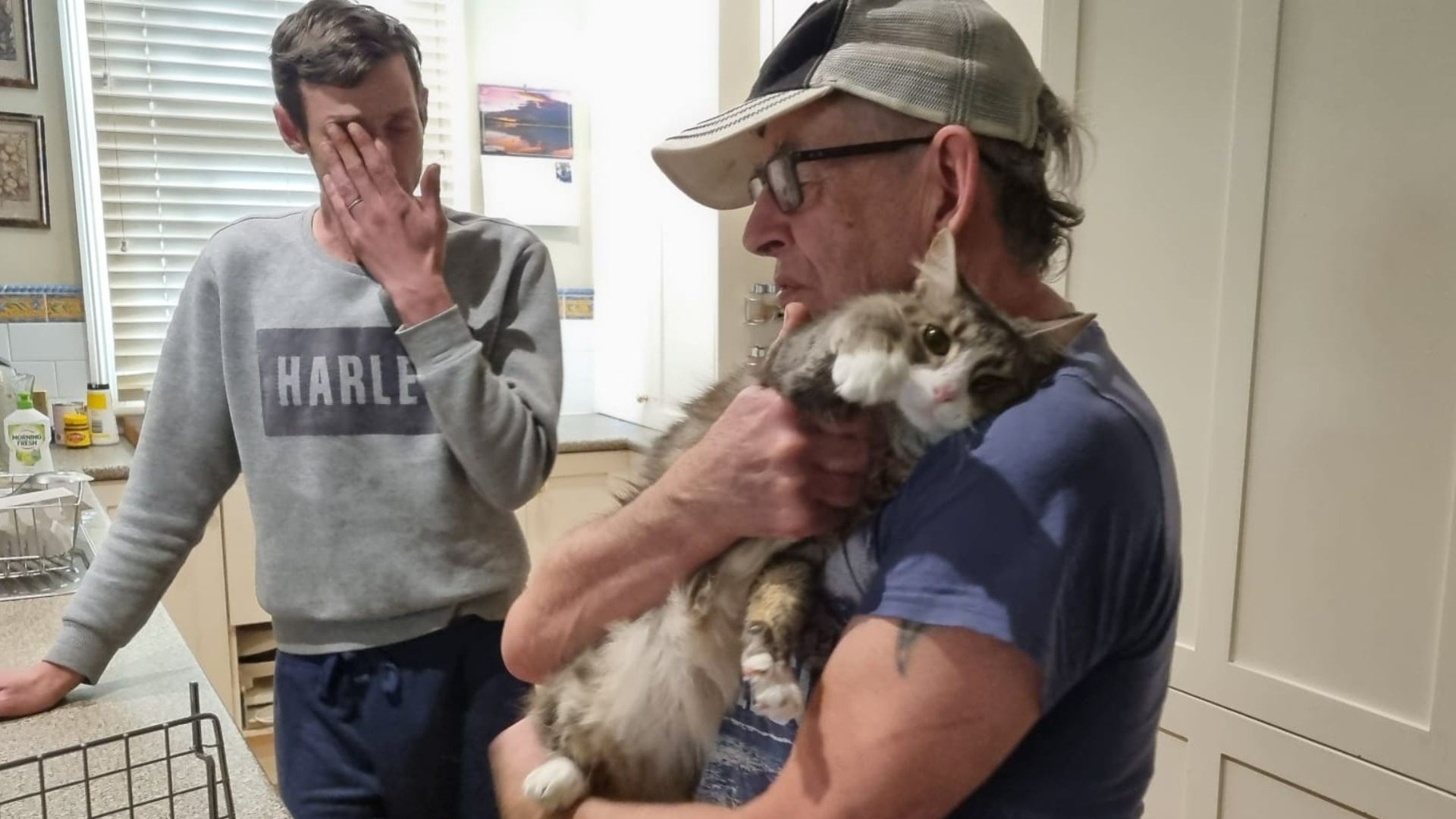 Mascotas en la Catedral de Exeter: el hogar de la que podría ser la puerta  para gatos más antigua del mundo - Infobae