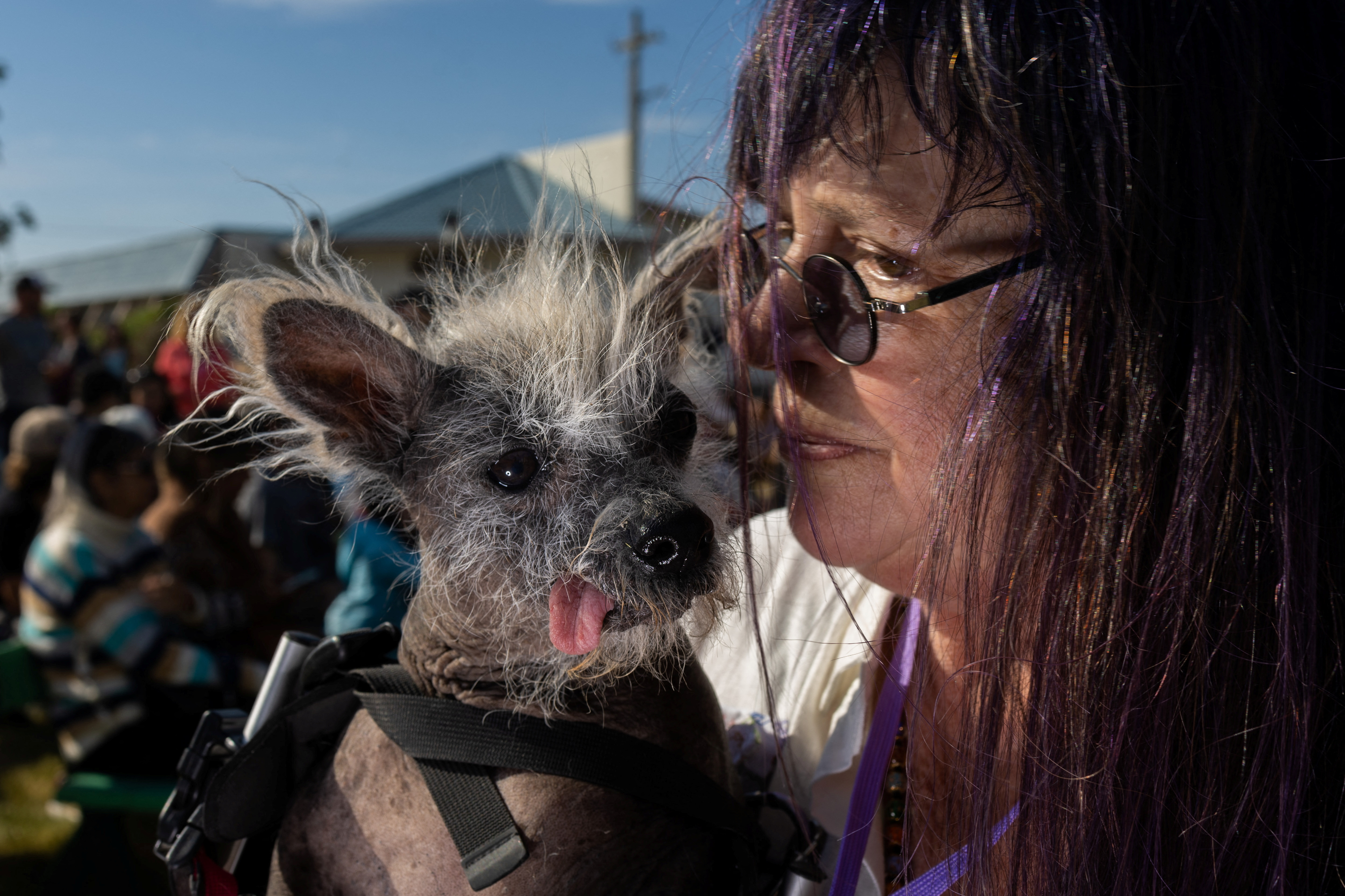 El canino se se une a una larga lista de perros que ganaron el concurso y el corazón de las personas (REUTERS/Carlos Barria)