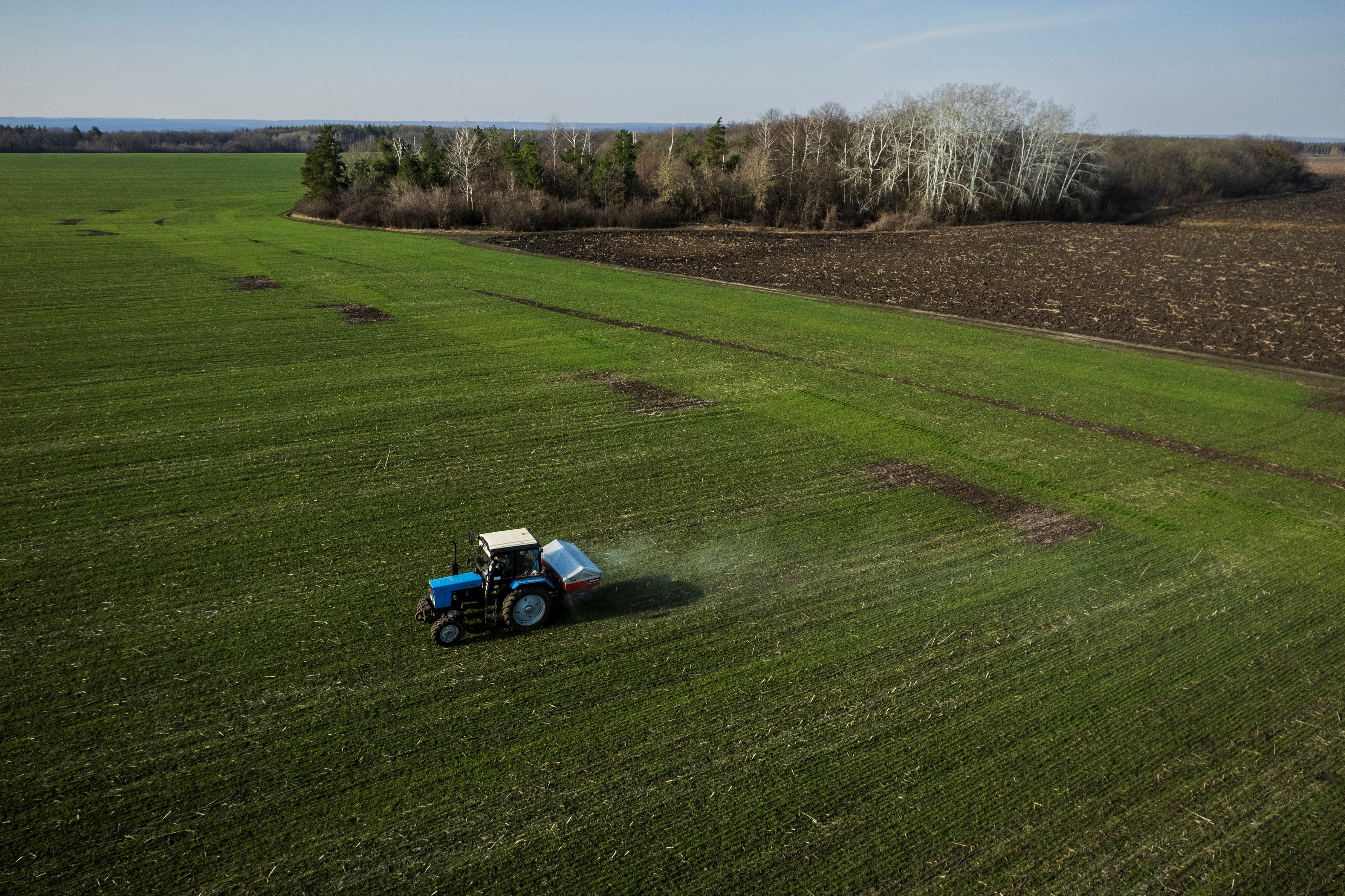 Un tractor aplica fertilizante en un campo ucraniano (Reuters)