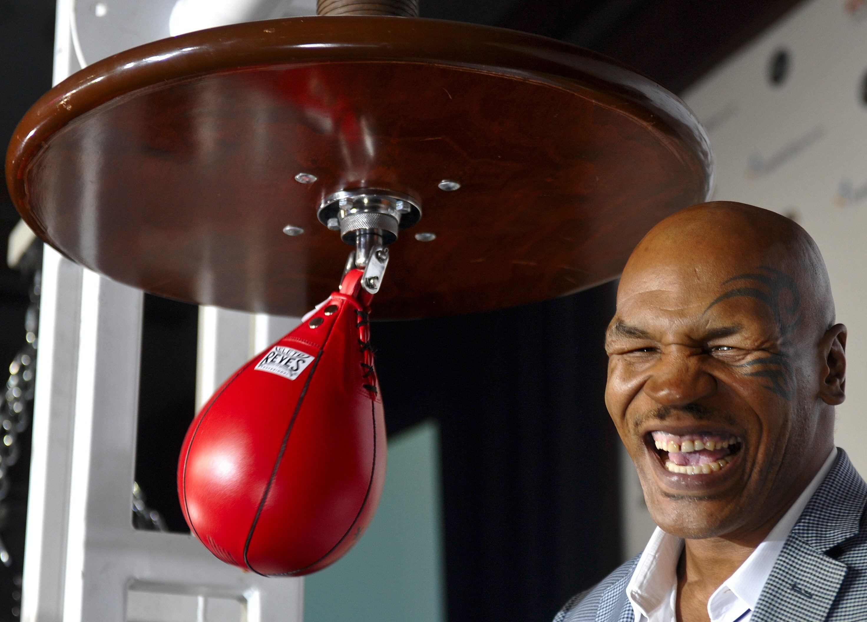 Tyson ha vuelto a pelear en un combate de exhibición en 2020 y planea repetir su aventura este año (EFE)