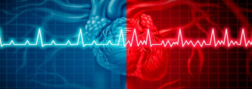 Inteligencia artificial para detectar si el corazón está bien o no con notas de voz. (foto: Institución Tecnológica)