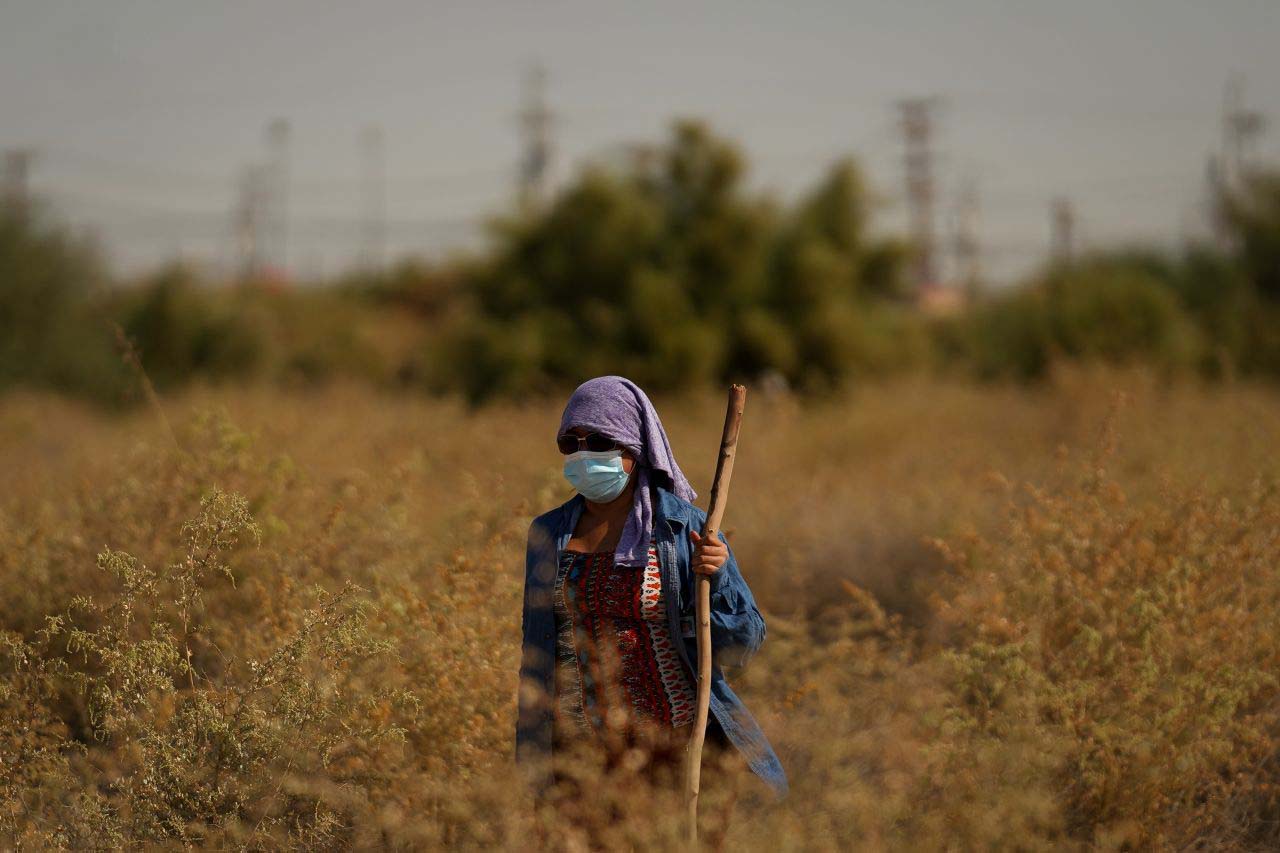 Madres de personas desaparecidas buscan en terreno desertico a sus familiares extraviados. Mexicali, Baja California, México. 18 de octubre de 2020.