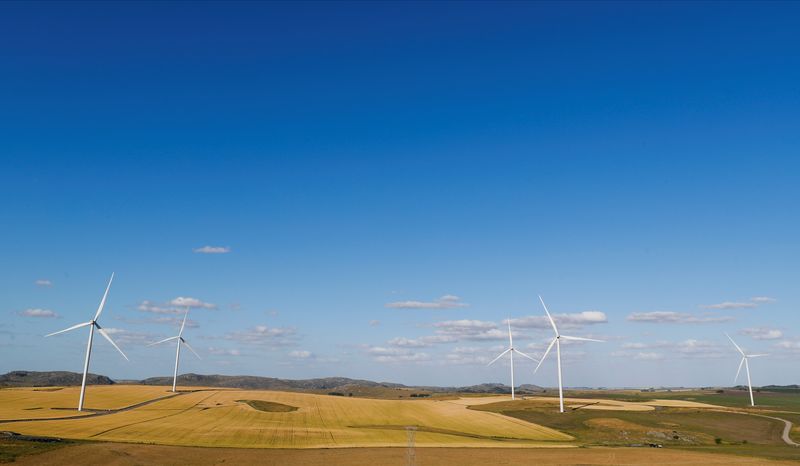 &iquest;Impuesto al viento?: el caso de Olavarr&iacute;a y qu&eacute; puede cambiar con dos fallos de la Corte Suprema