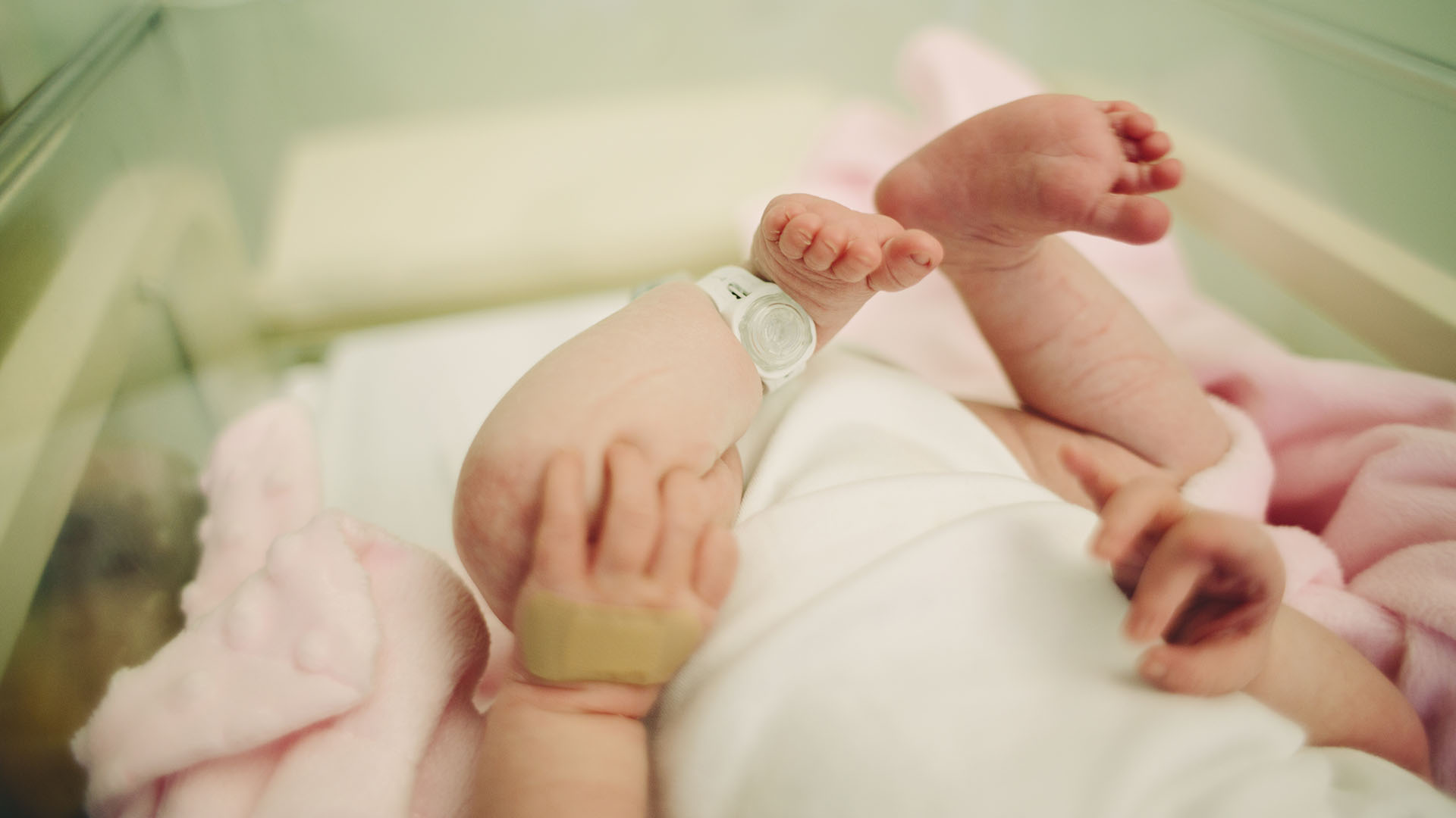 La pesquisa neonatal también es conocida como el "estudio de la gotita de sangre"
(Getty Images)