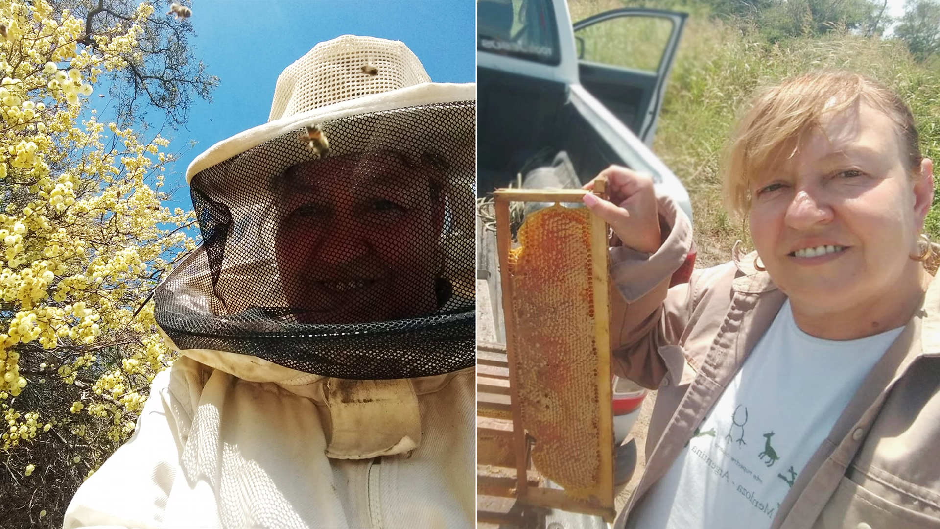 No sabía nada de abejas, su hijo la dejó a cargo de sus colmenas y lo que sucedió le cambió la vida