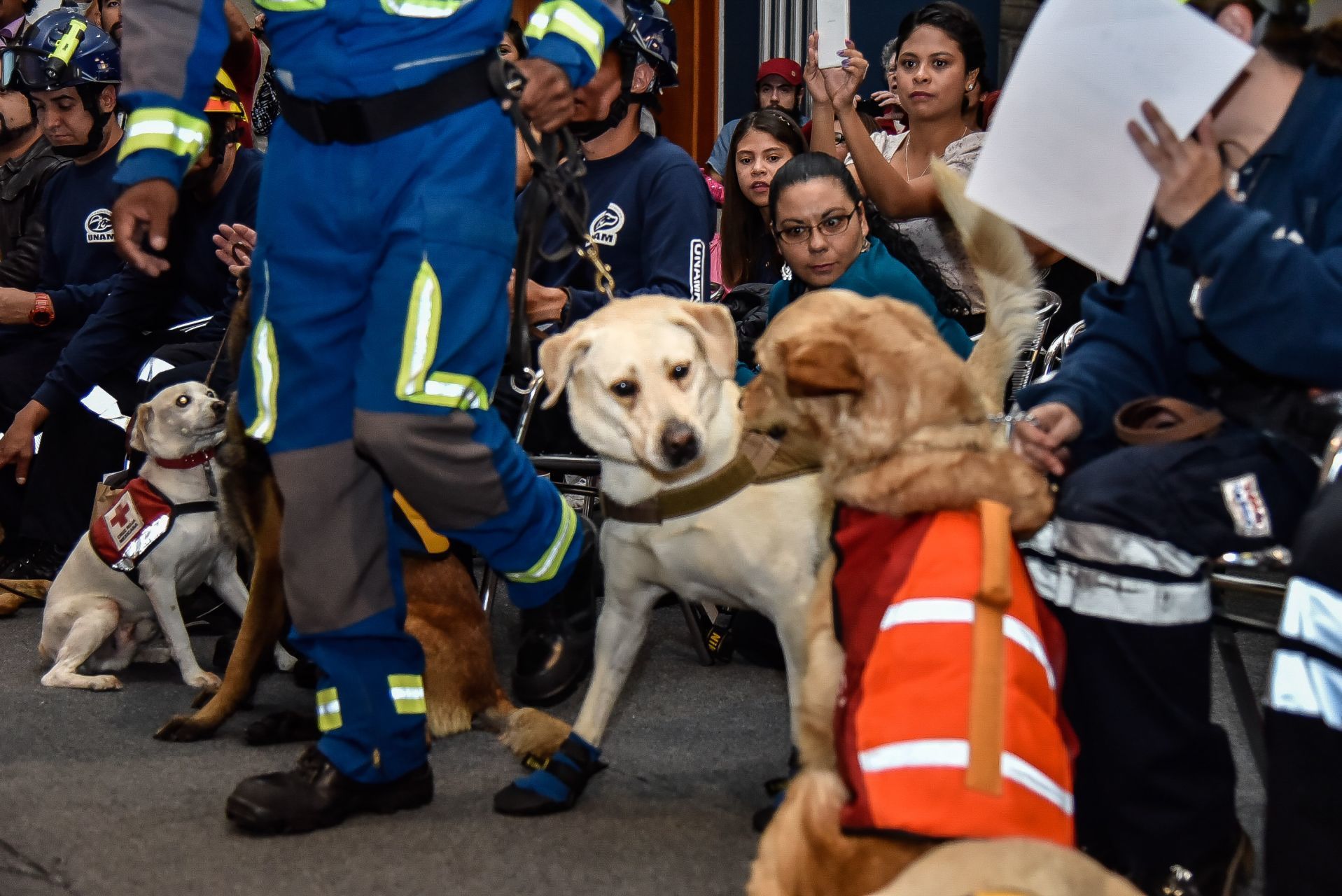 Ceremonia para el reconocimiento a binomios caninos y voluntarios que participaron en las labores de rescate del sismo del 7 y 19 de septiembre (MARIO JASSO /CUARTOSCURO)