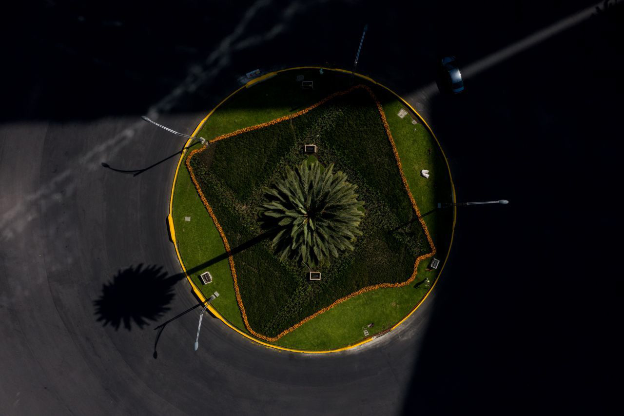 Toma aérea del camino de flores de cempasúchil colocadas sobre Paseo de la Reforma.