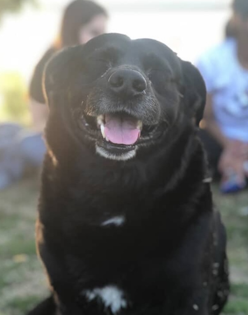 La actividad económica repuntó en diciembre y cerró 2025 con una expansión de 4,4 por ciento