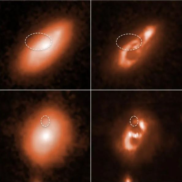 Utilizando el Telescopio Espacial Hubble, los astrónomos han rastreado dos breves y poderosos estallidos de radio hacia los brazos espirales de las dos galaxias que se muestran arriba. Las dos imágenes de la izquierda muestran las instantáneas completas del Hubble de cada galaxia. Las dos imágenes mejoradas digitalmente a la derecha revelan la estructura espiral de cada galaxia con más detalle. Los nombres de catálogo de las ráfagas son FRB 190714 (fila superior) y FRB 180924 (fila inferior). Las galaxias están lejos de la Tierra y tienen el aspecto que tenían hace miles de millones de años. Las líneas ovales punteadas en cada una de las cuatro imágenes marcan la ubicación de las brillantes bengalas de radio. Crédito: Ciencia: NASA, ESA, Alexandra Mannings (UC Santa Cruz), Wen-fai Fong (Noroeste), Procesamiento de imágenes: Alyssa Pagan (STScI)
