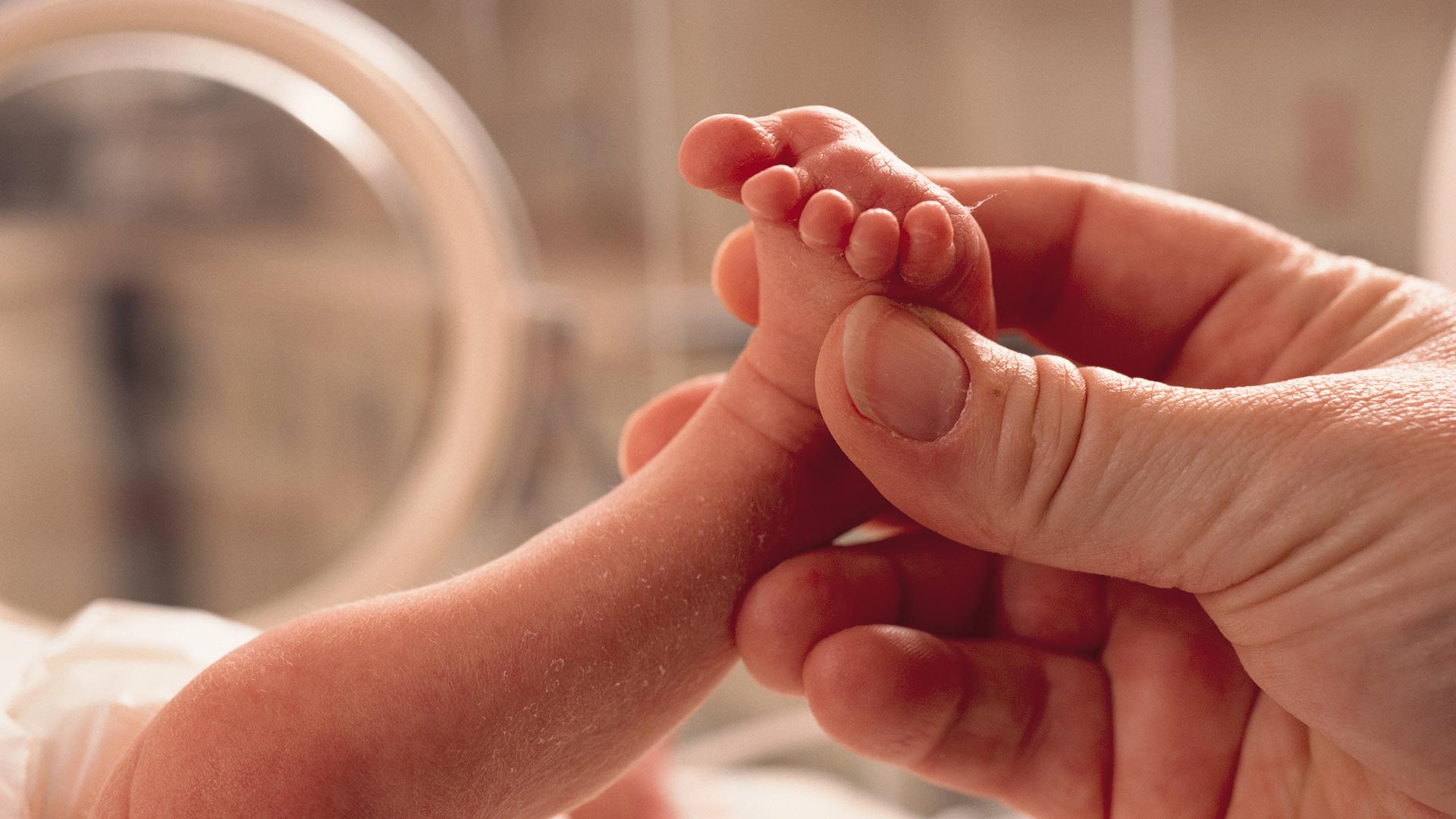 Un análisis comparativo realizado por expertos de la Universidad de Stanford indicó que los bebés nacidos de padres de 45 años o más, tenían un 14% más de posibilidades de nacer prematuros
(Gettyimages)