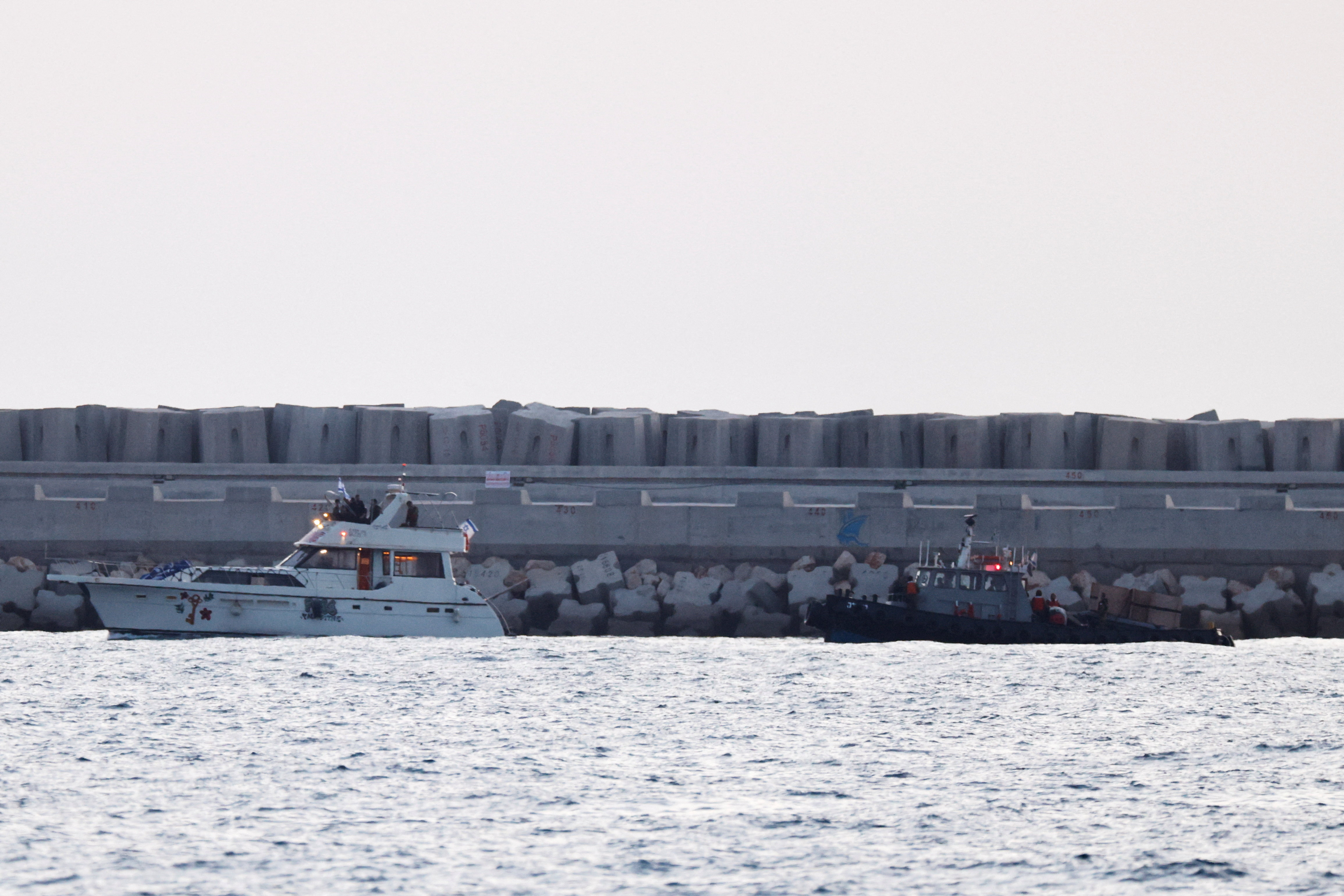 Las fuerzas armadas israel&iacute;es interceptaron la flotilla que intentaba llegar a la Franja de Gaza