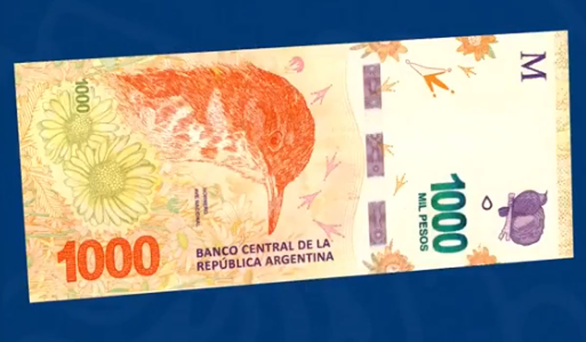 La moneda argentina perdió 92% de su valor en dólares deflactado por CCL.