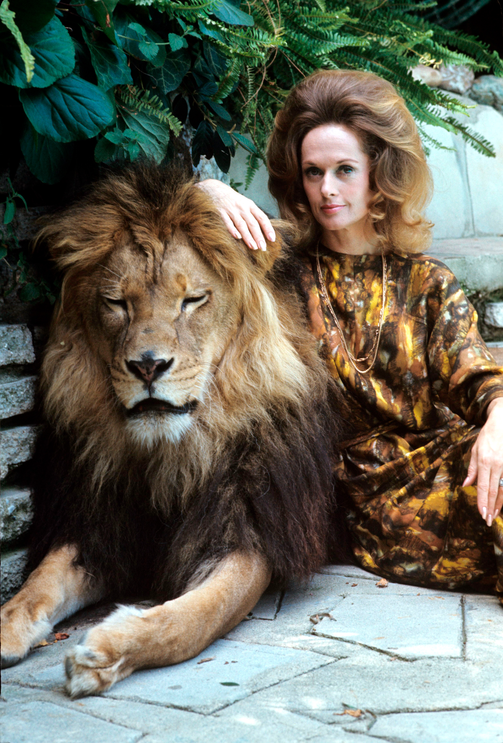 Dakota Johnson dio a conocer que su abuela, Tippi Hedren, todavía vive con  tigres y leones - Infobae